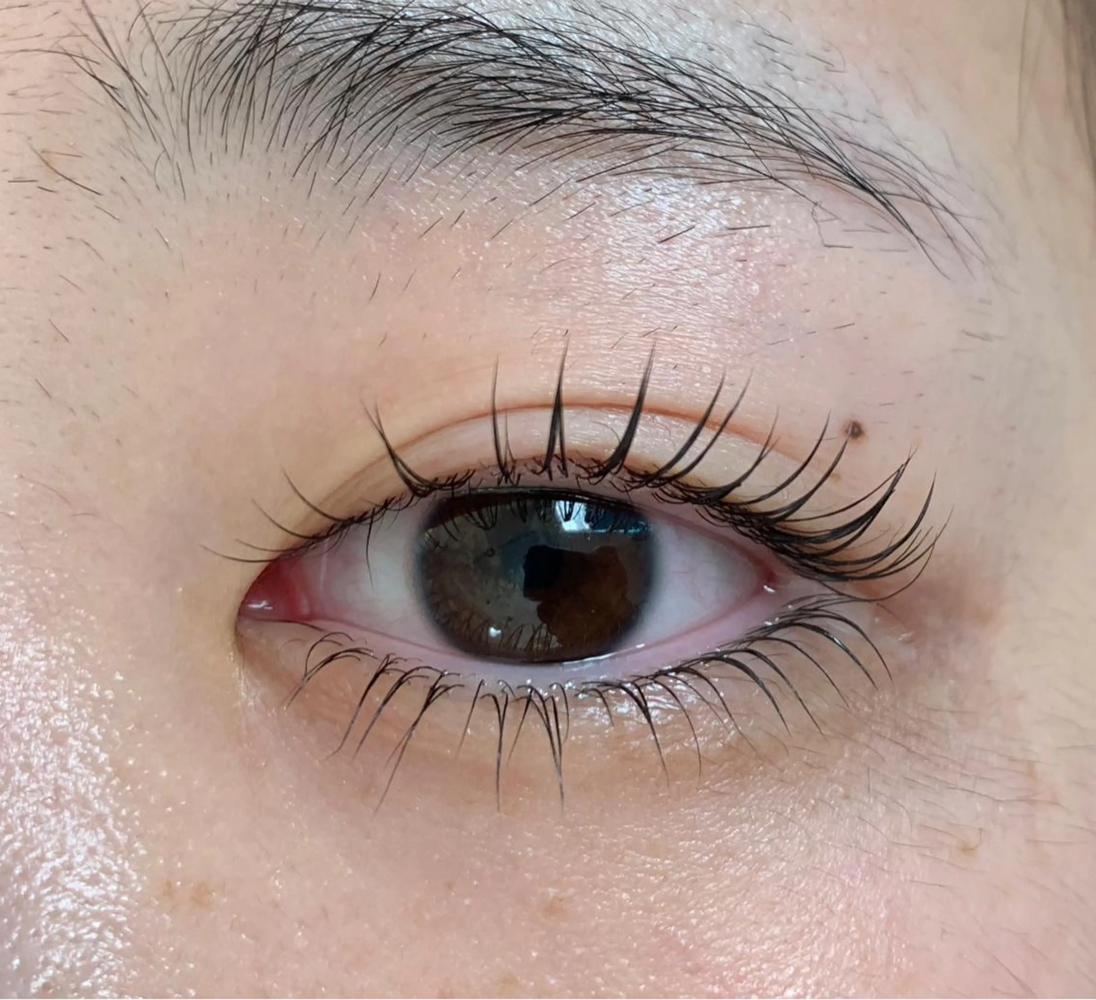 マツエク・マツパ RiciL リシルのエステ・リラクイメージ