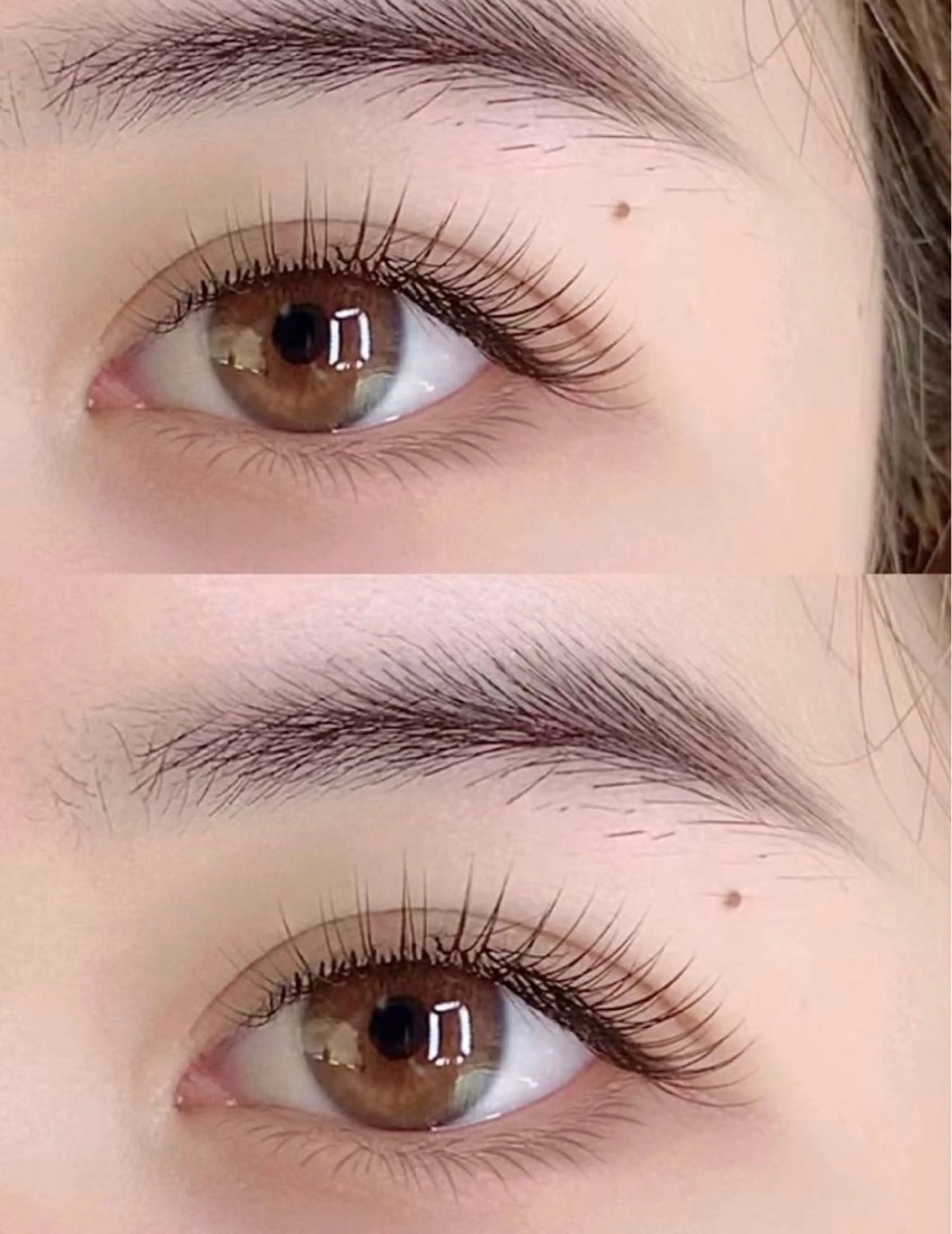 フッラトラッシュ 100本+下30本(モテルコース　口コミ不可 現金のみ）の写真