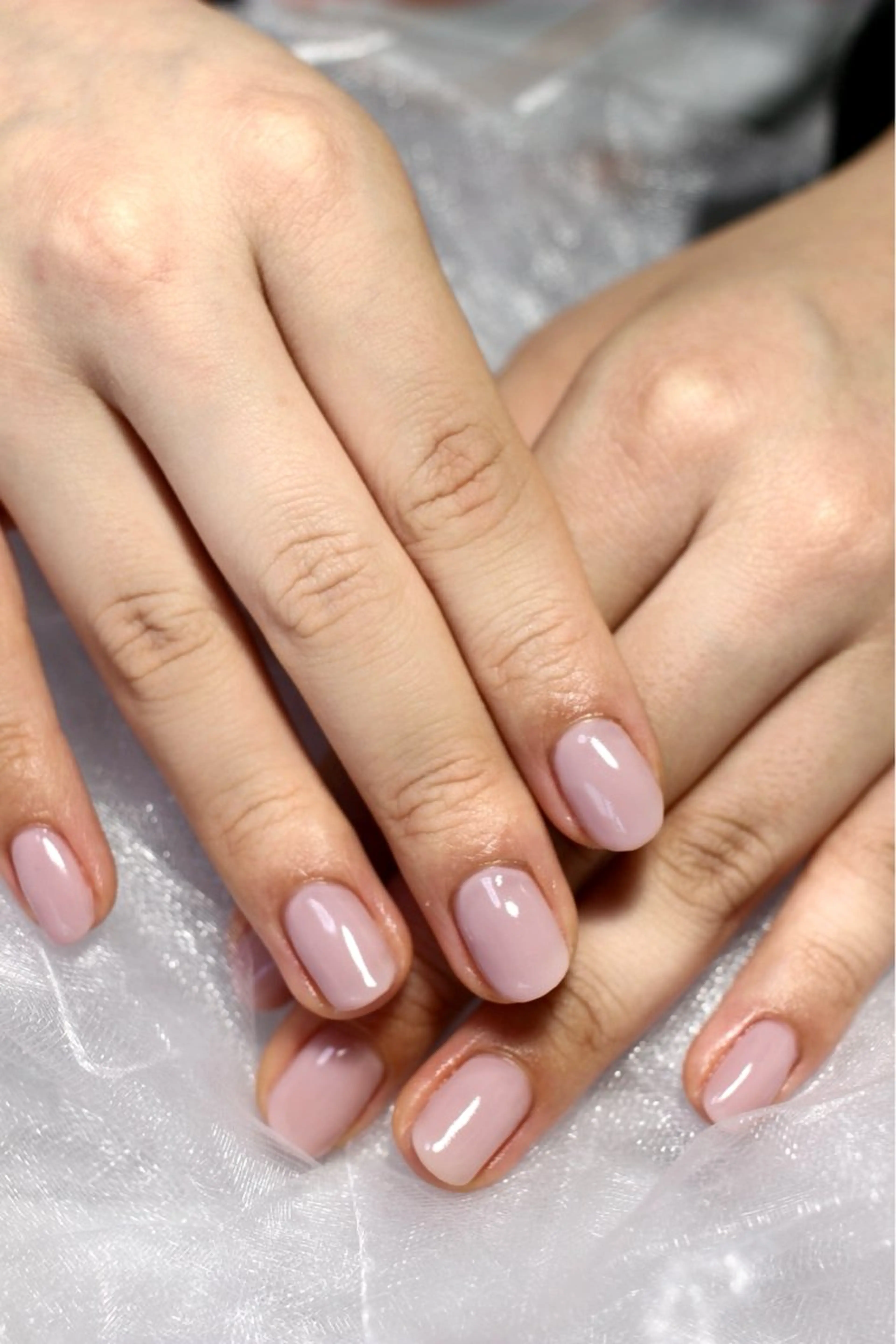 （オフなし)ワンカラー🌸の写真