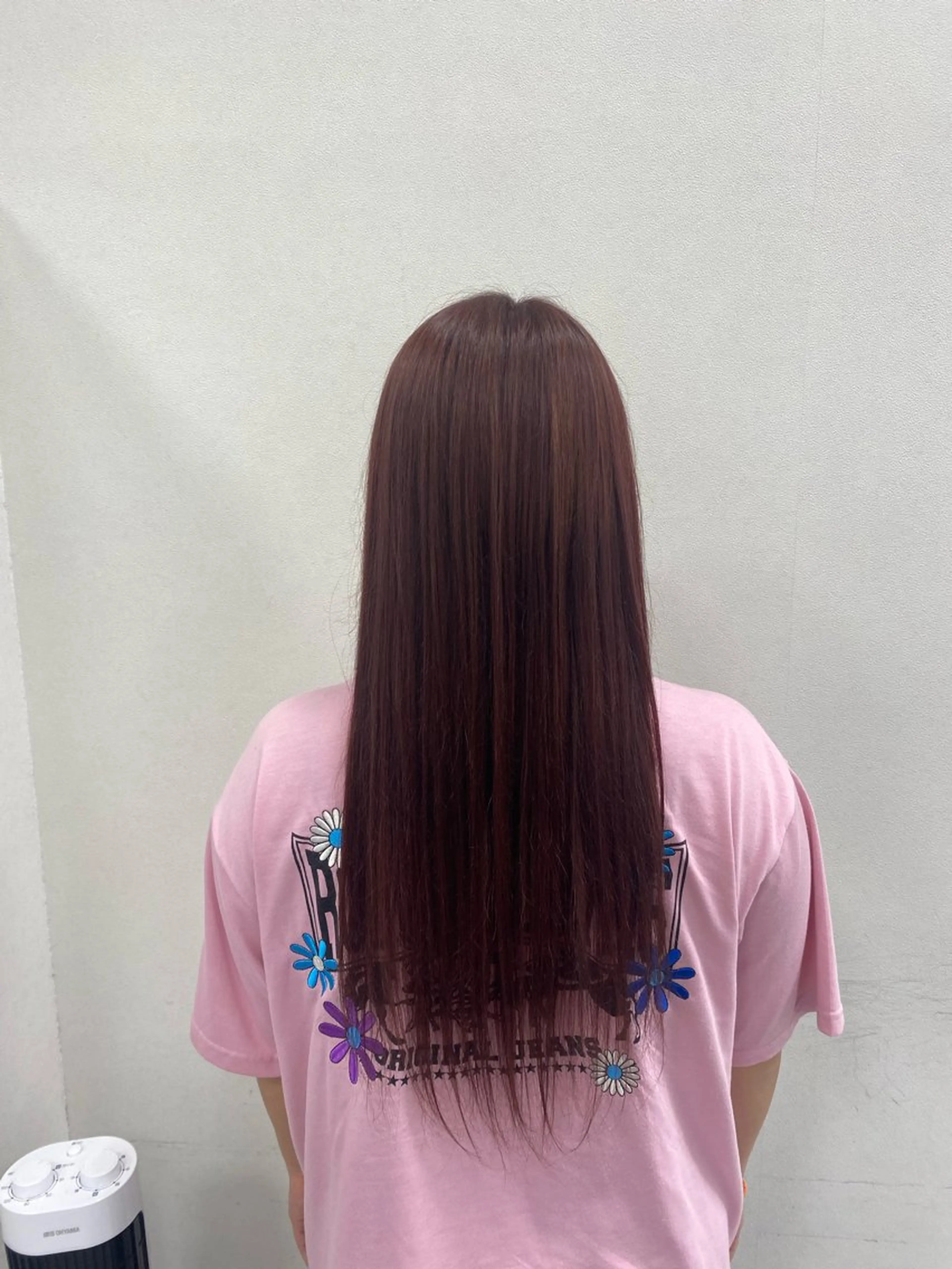 ロング カラー 寺井 萌恵のヘアスタイル