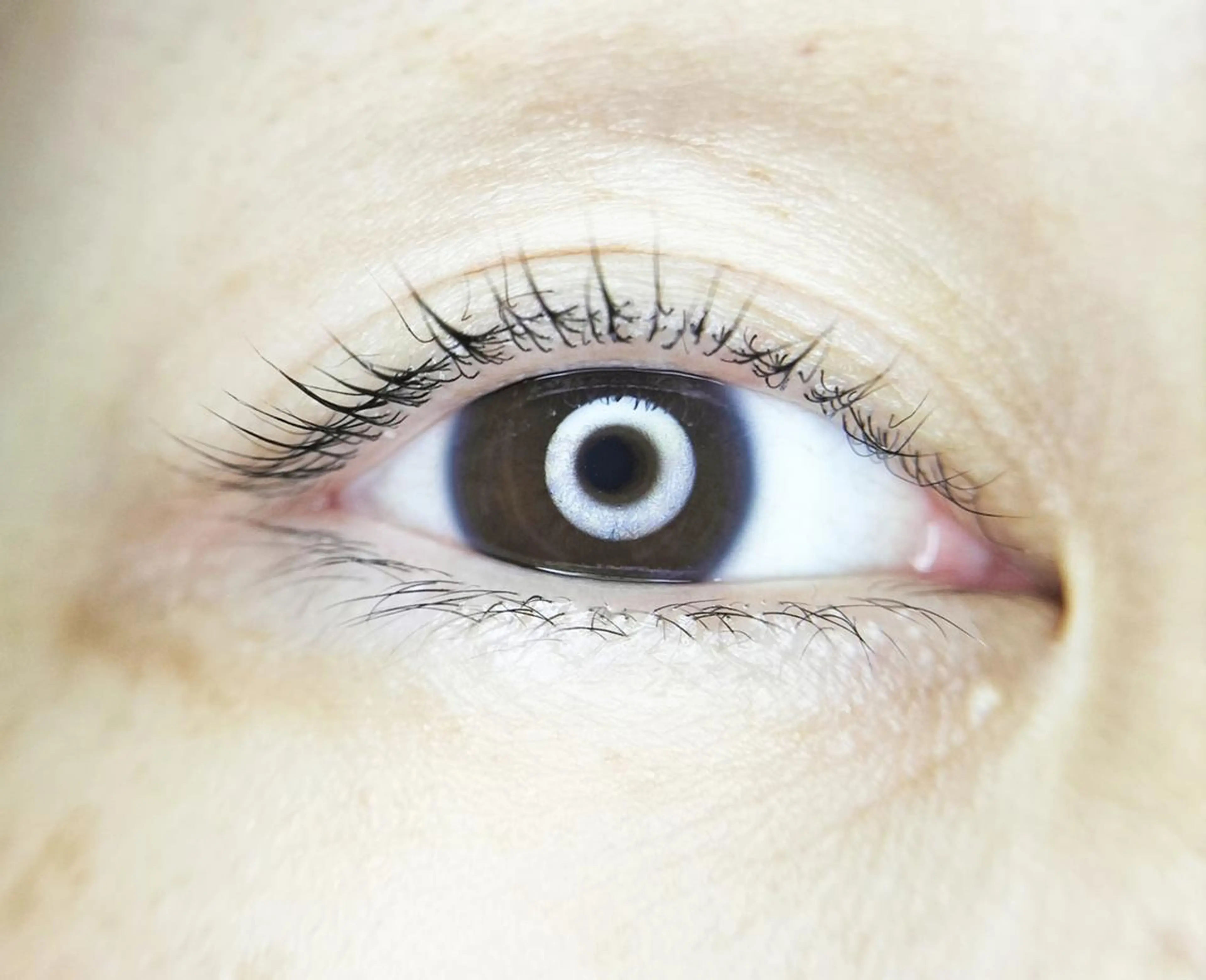 マツエク・マツパ Rian 池袋のマツエク・マツパデザイン