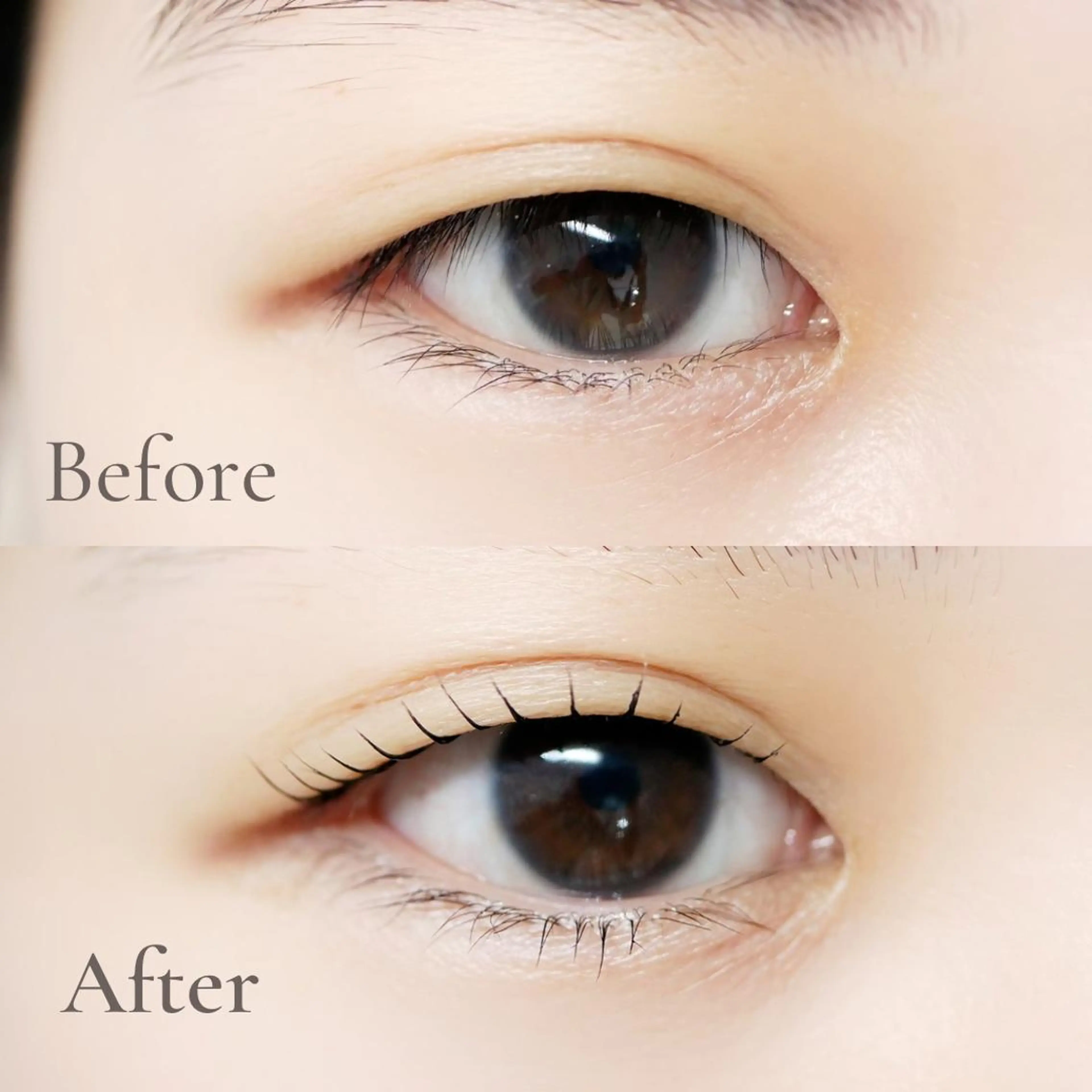 マツエク・マツパ asuka 𖥸 アイブロウ🦊🤎の眉毛・アイブロウイメージ