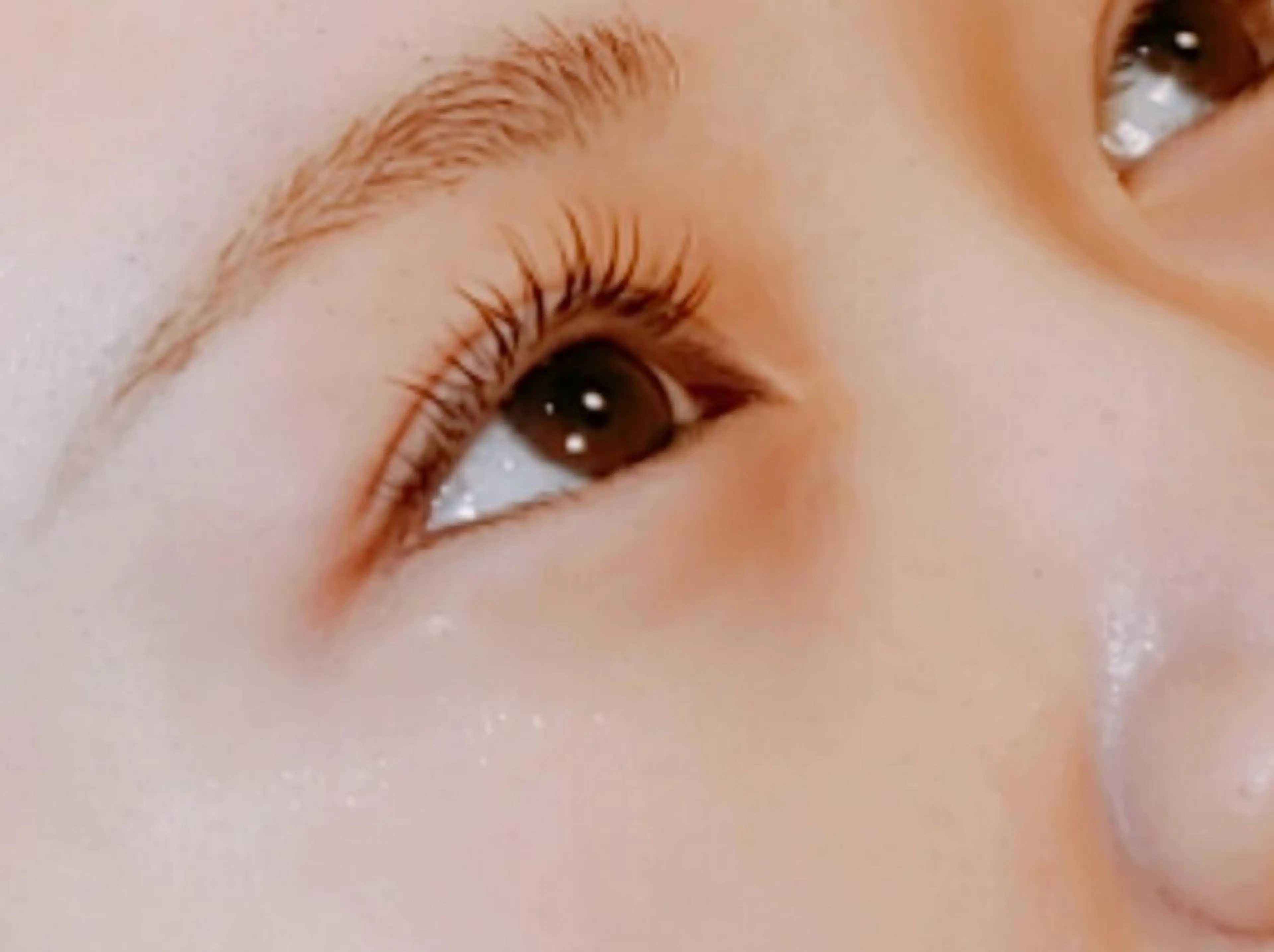 【ミニモ限定】バインドロック✨️120束の写真