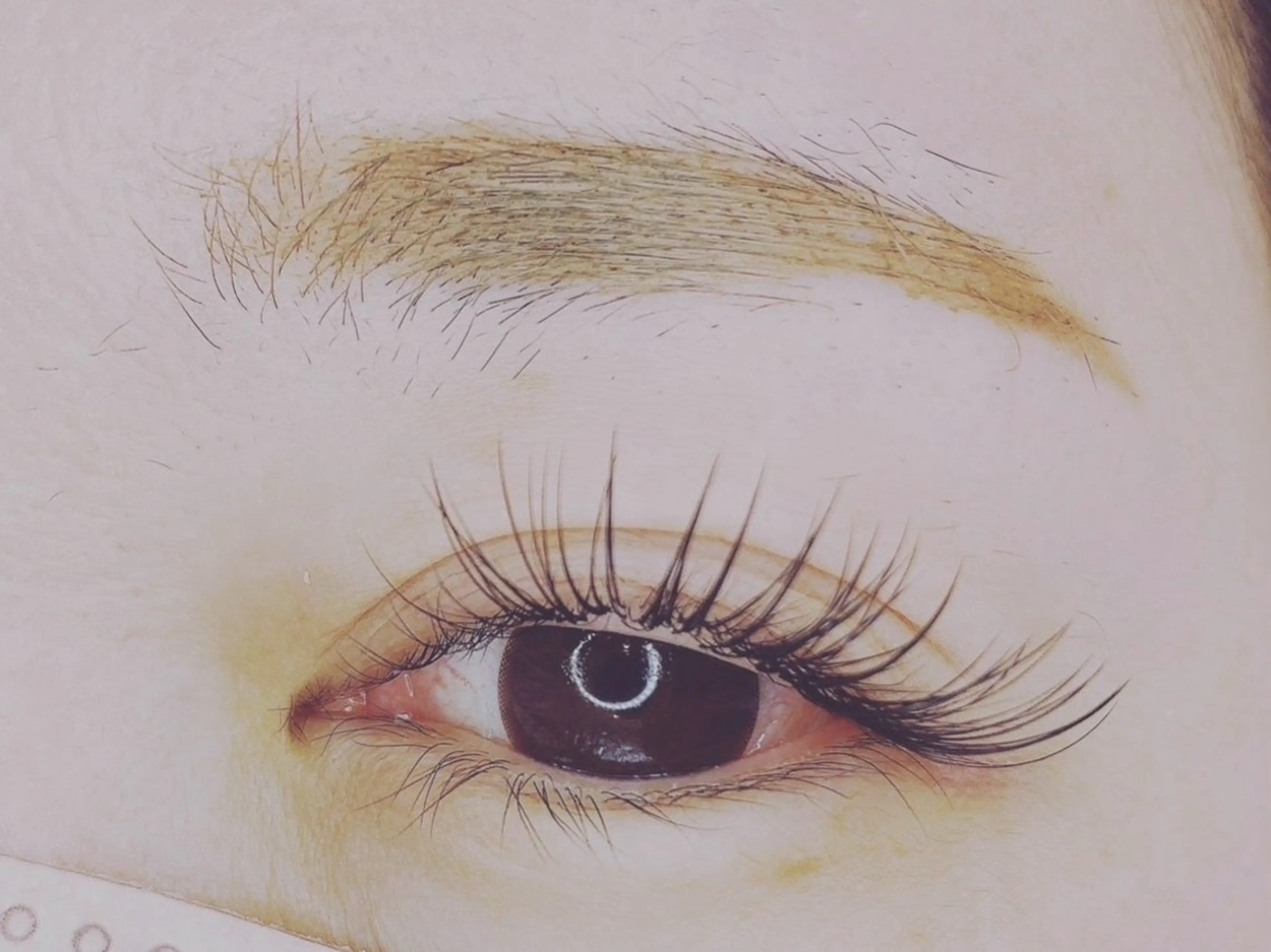 マツエク・マツパ フラットラッシュ 阿部 ライサのマツエク・マツパデザイン