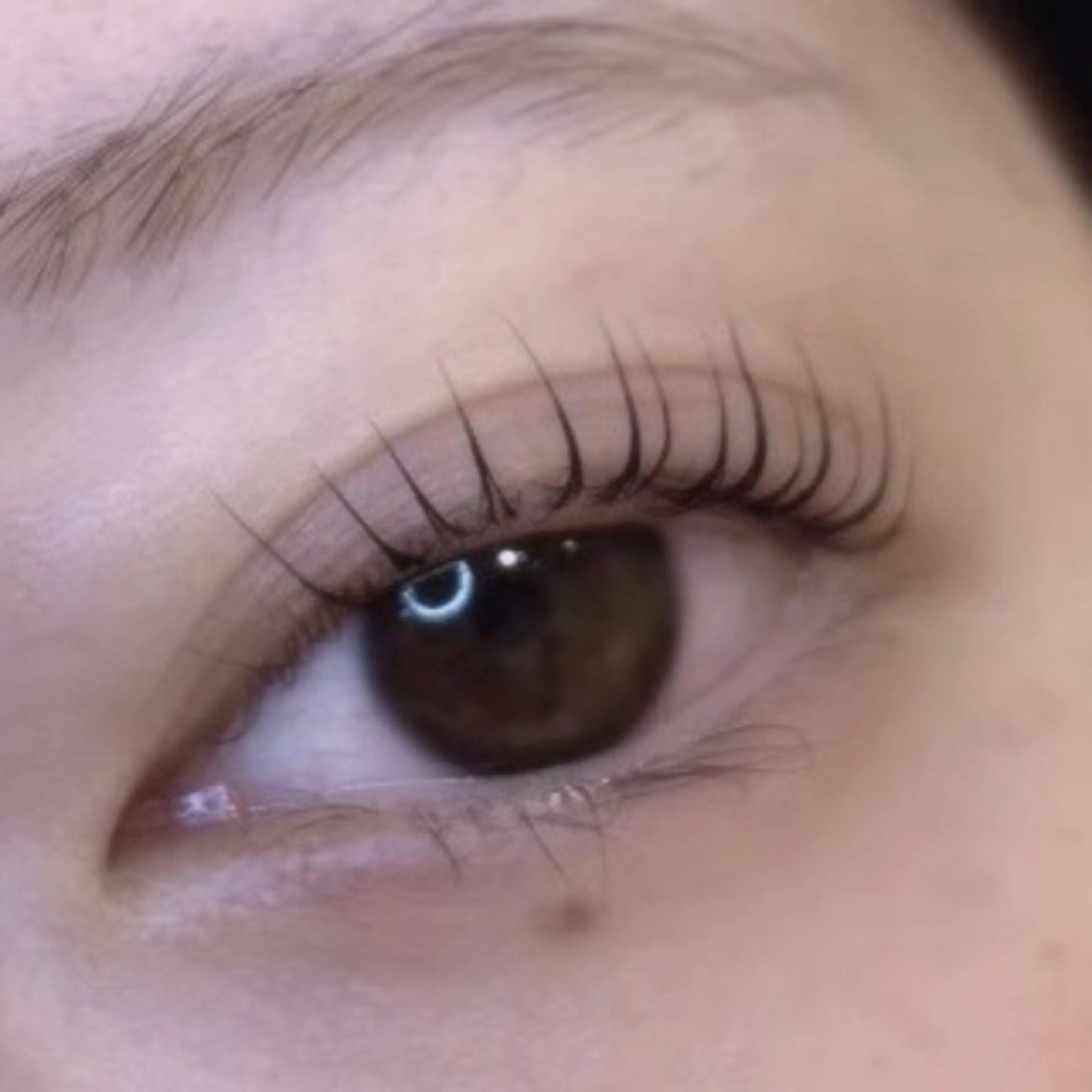 マツエク・マツパ せりな 🎀のマツエク・マツパデザイン