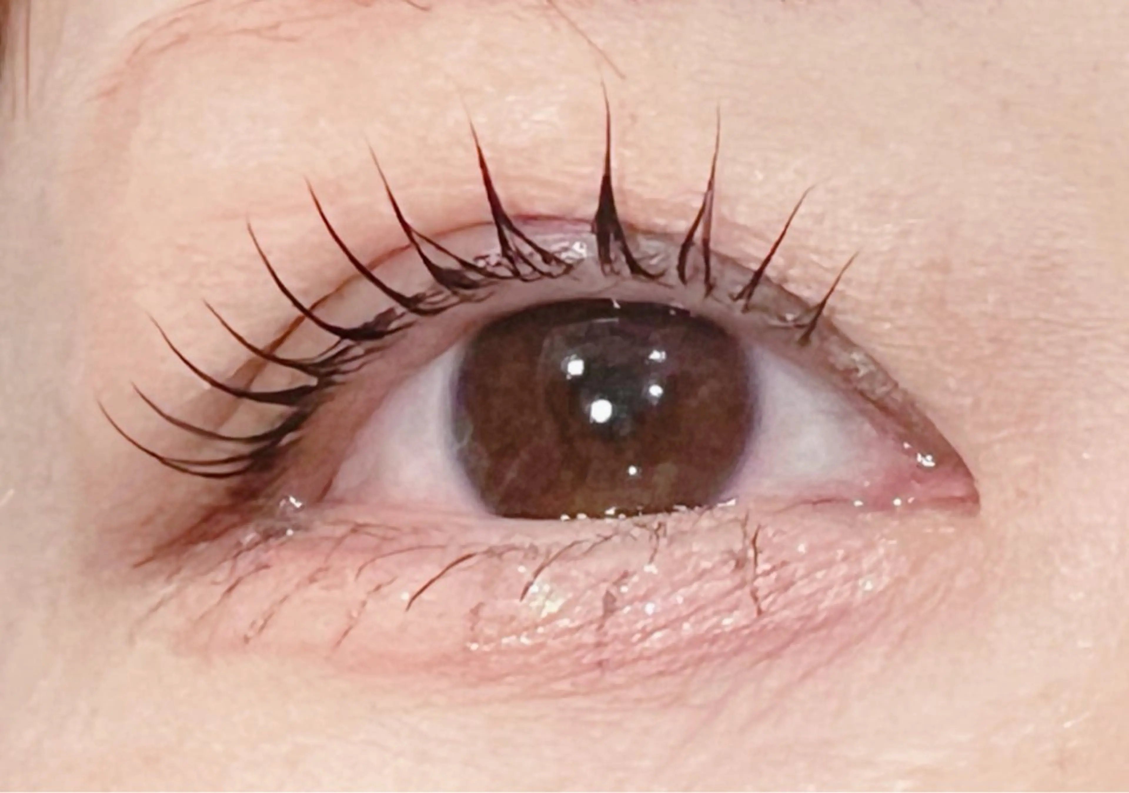 マツエク・マツパ ケラチンラッシュリフト マツパ lepo 川越 arisaのマツエク・マツパデザイン