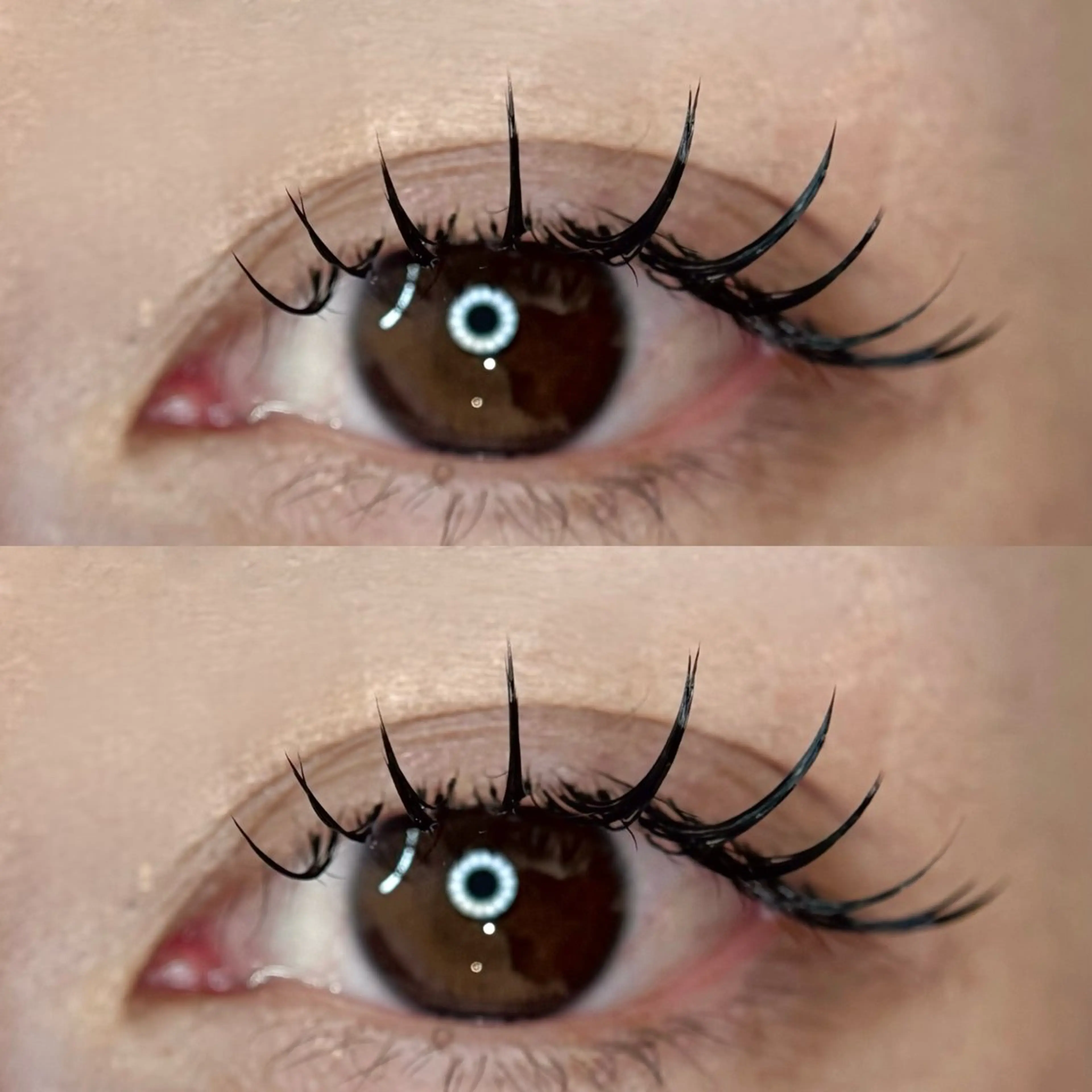 マツエク・マツパ M🐰 上本町/谷九のマツエク・マツパデザイン