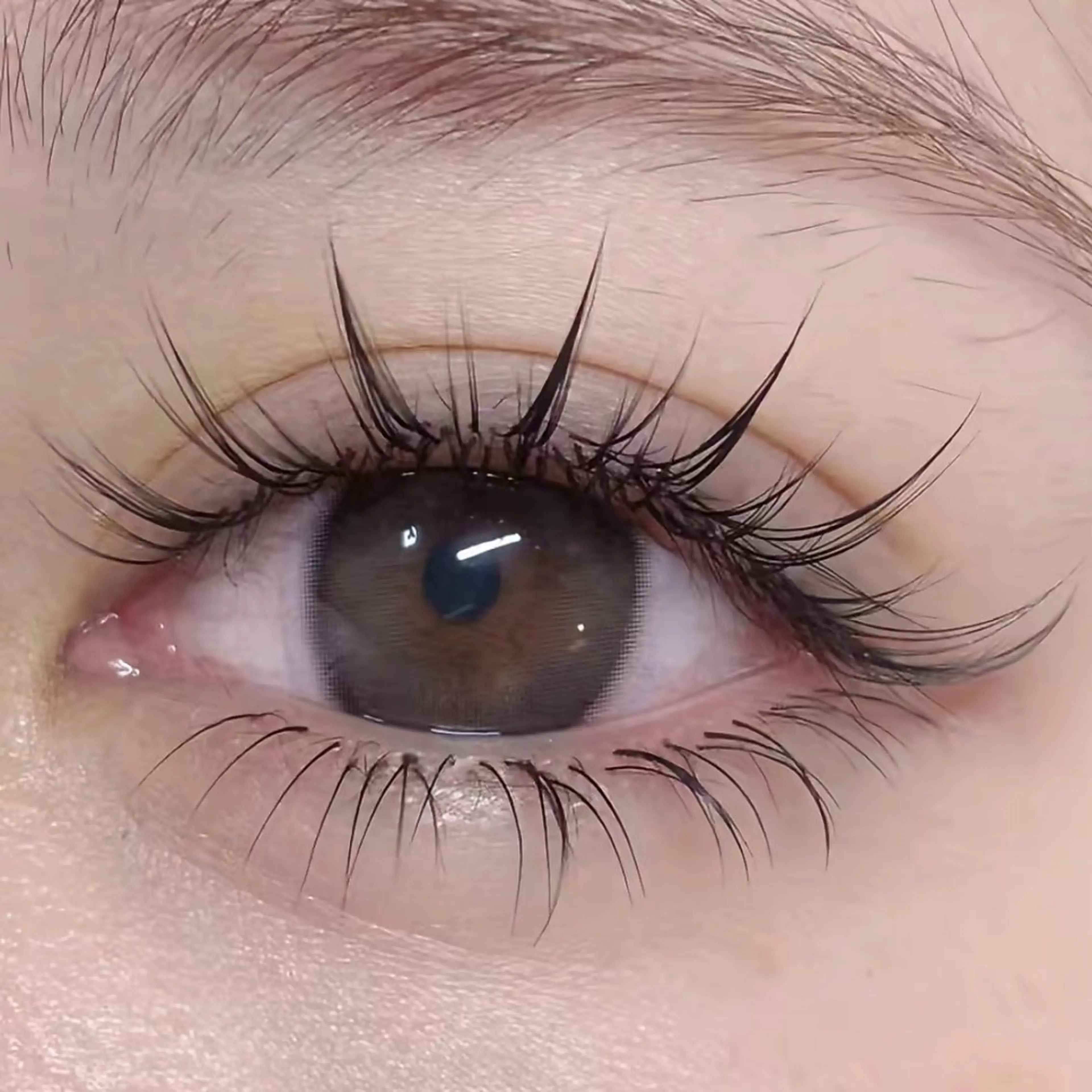 マツエク・マツパ 束感まつ毛 カラーマツエク フラットラッシュ パリジェンヌラッシュリフト まつげパーマ ミユ 横浜のマツエク・マツパデザイン