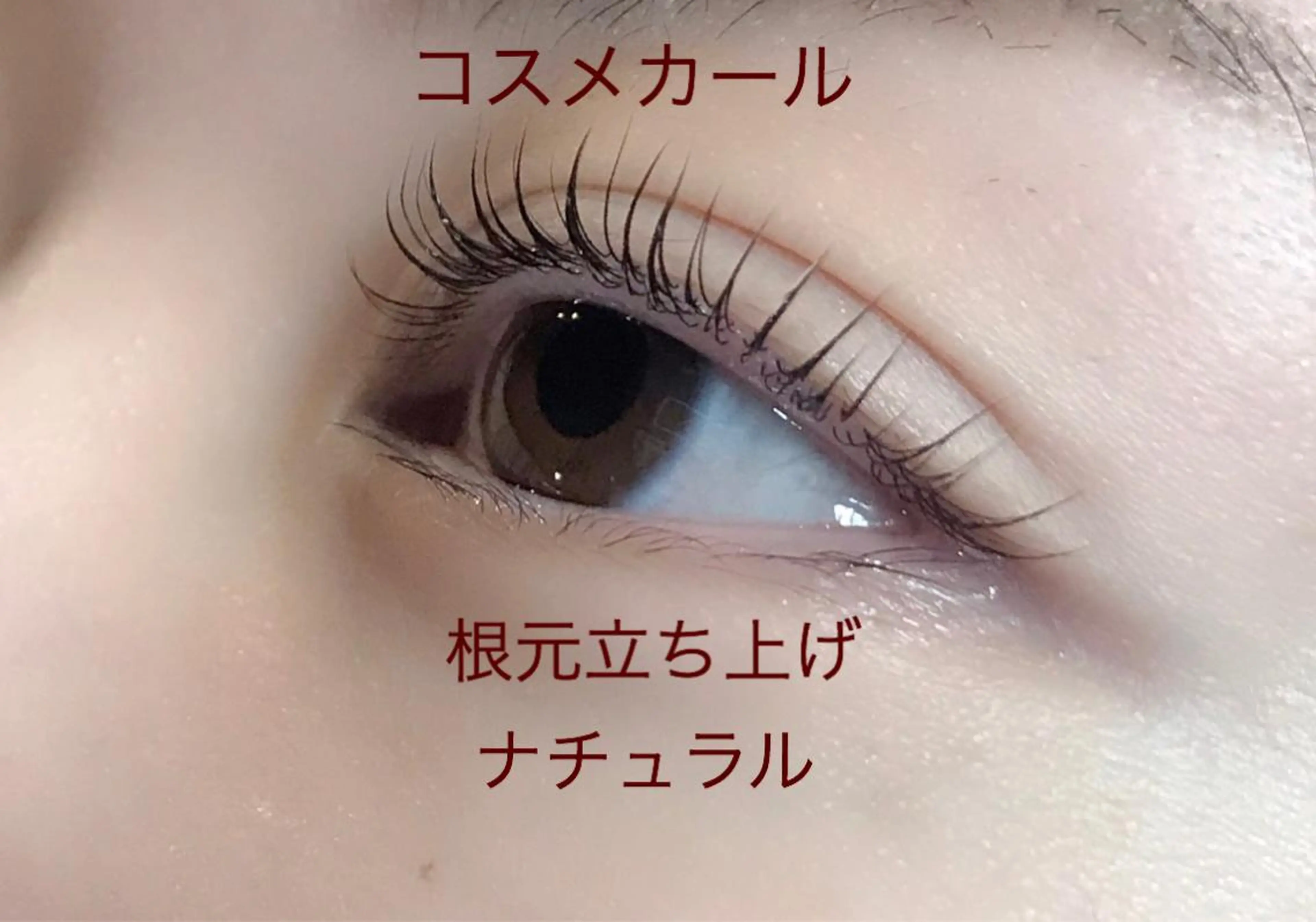 ★ラッシュリフト（上or下）の写真