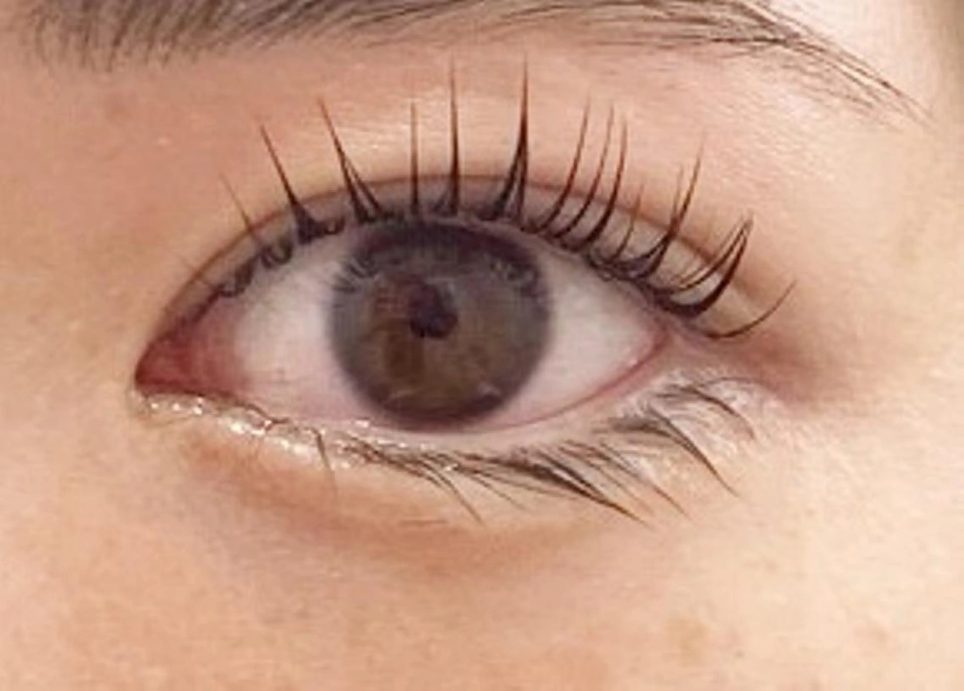 ラッシュリフト　（2回目以降の方）の写真