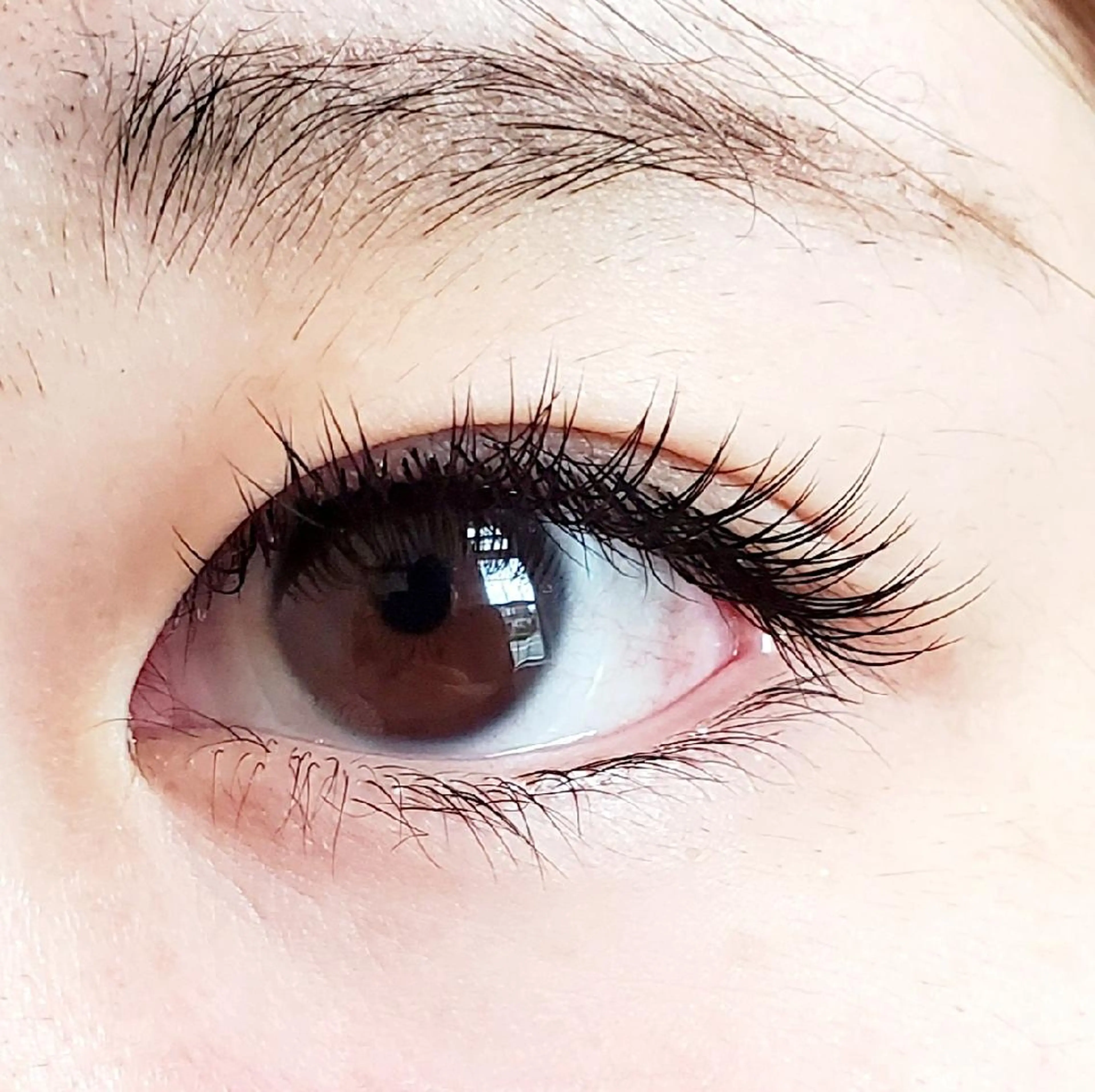 マツエク・マツパ 付け放題 カラーマツエク セーブル Hair＆beauty BRY所属・hair& beauty BRYのマツエク・マツパデザイン