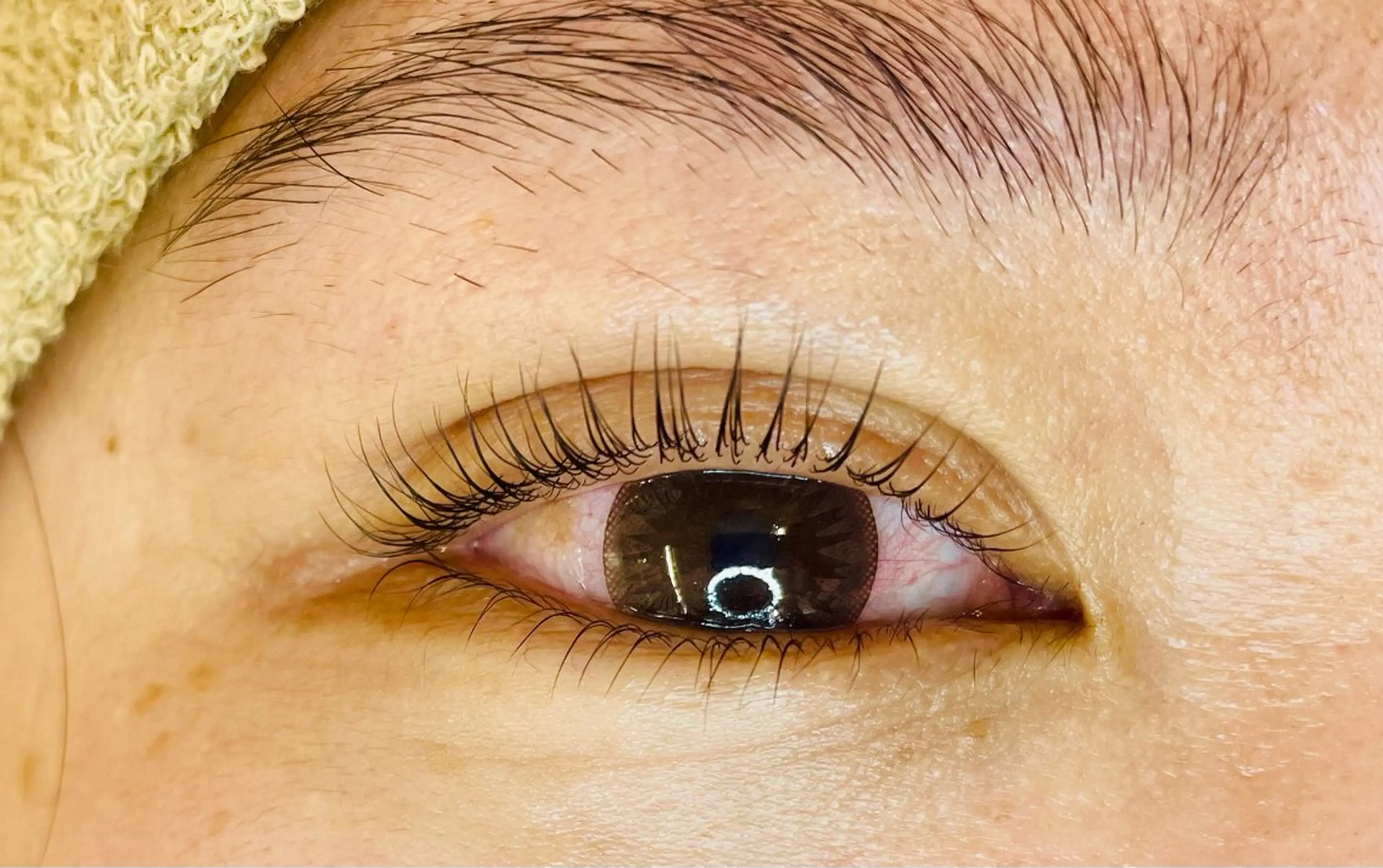 マツエク・マツパ Cカール Dカール 下まつげエクステ 一重×まつ毛パーマ 🌼AI 🌼のマツエク・マツパデザイン