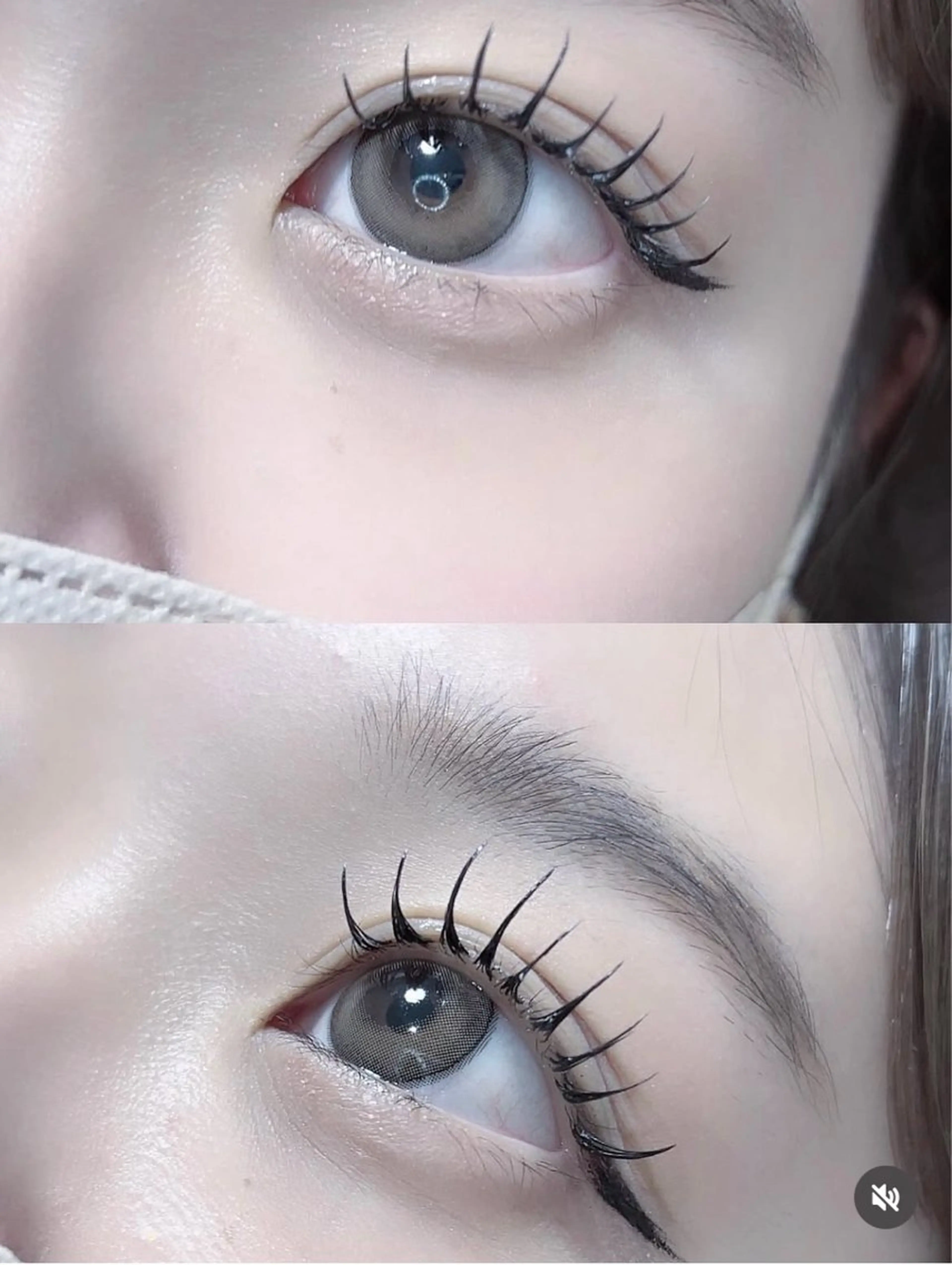 🦋フラットラッシュ  100本  オフ込みの写真