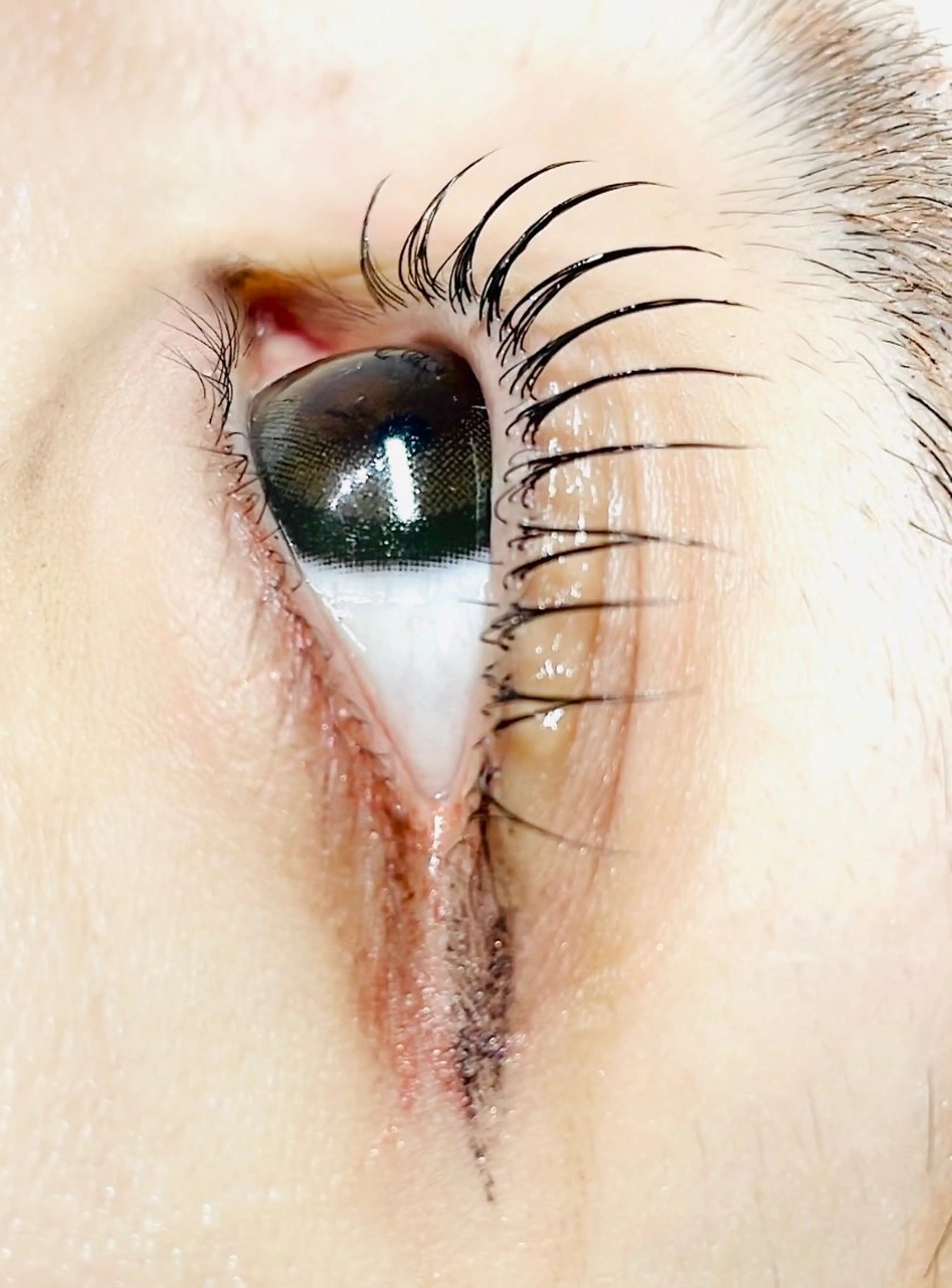 マツエク・マツパ Pearl miyuのマツエク・マツパデザイン