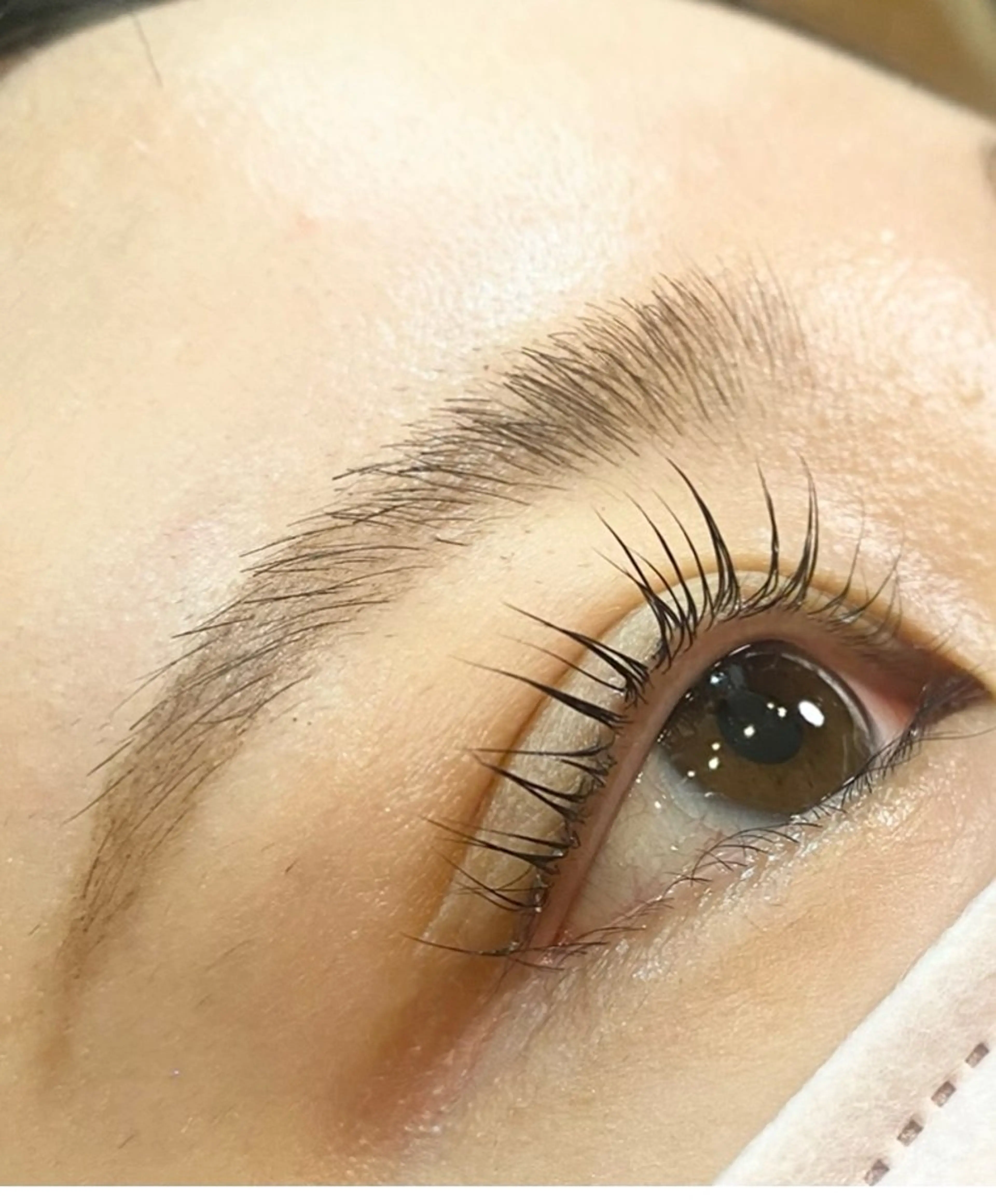 マツエク・マツパ 束感まつ毛 m a o /まつパ/艶カラーのマツエク・マツパデザイン