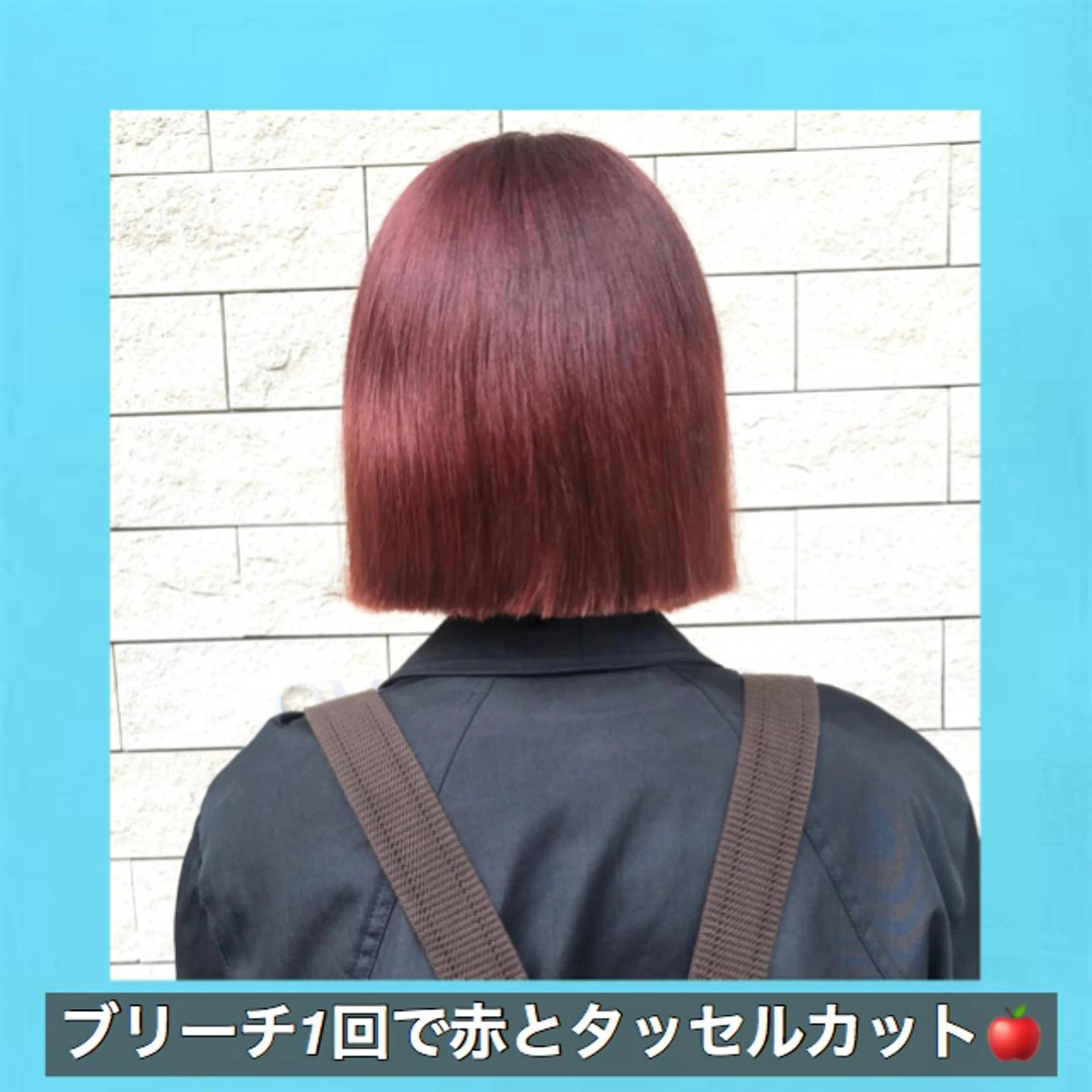 ショート カラー ブリーチ ダブルカラー ブリーチなしカラー ハッシュカット タンバルモリ K-POP好き美容師 🇰🇷Kai.Yのヘアスタイル