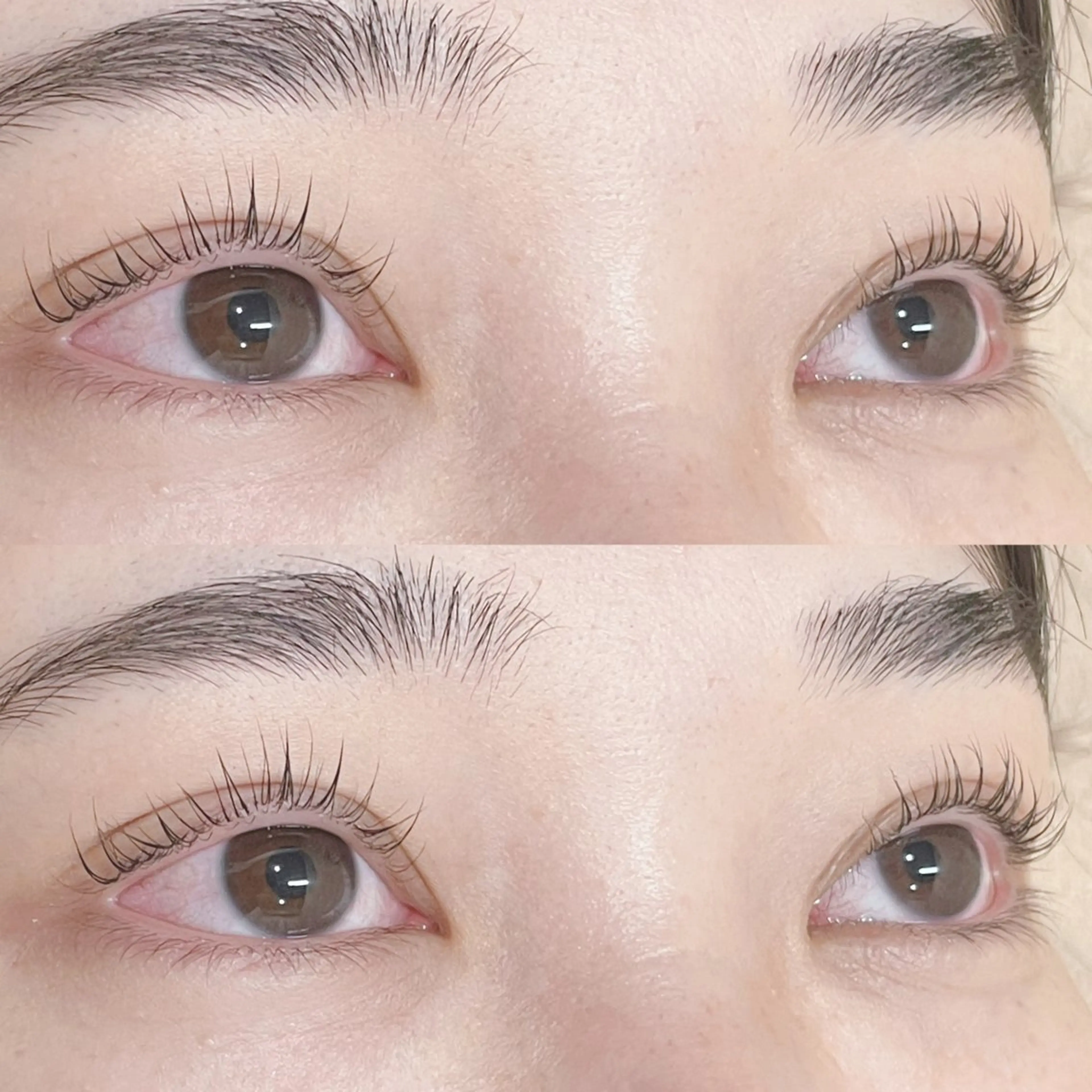 マツエク・マツパ パリジェンヌラッシュリフト MAQUIA 宮崎のマツエク・マツパデザイン