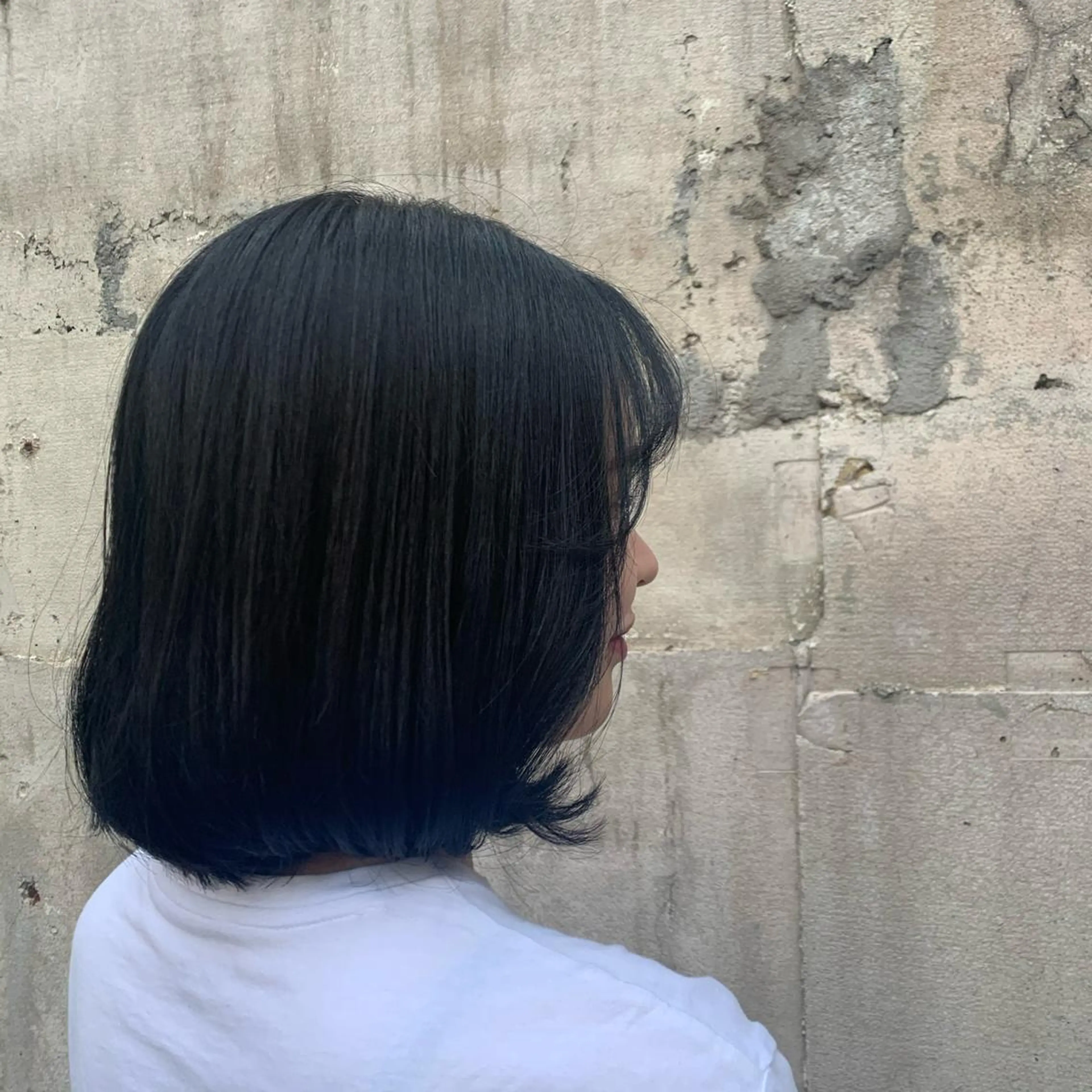 ミディアム カラー 黒髪 ブルーカラー ブルーブラック トリートメント 韓国🇰🇷髪質改善 Chisaki치사키のヘアスタイル