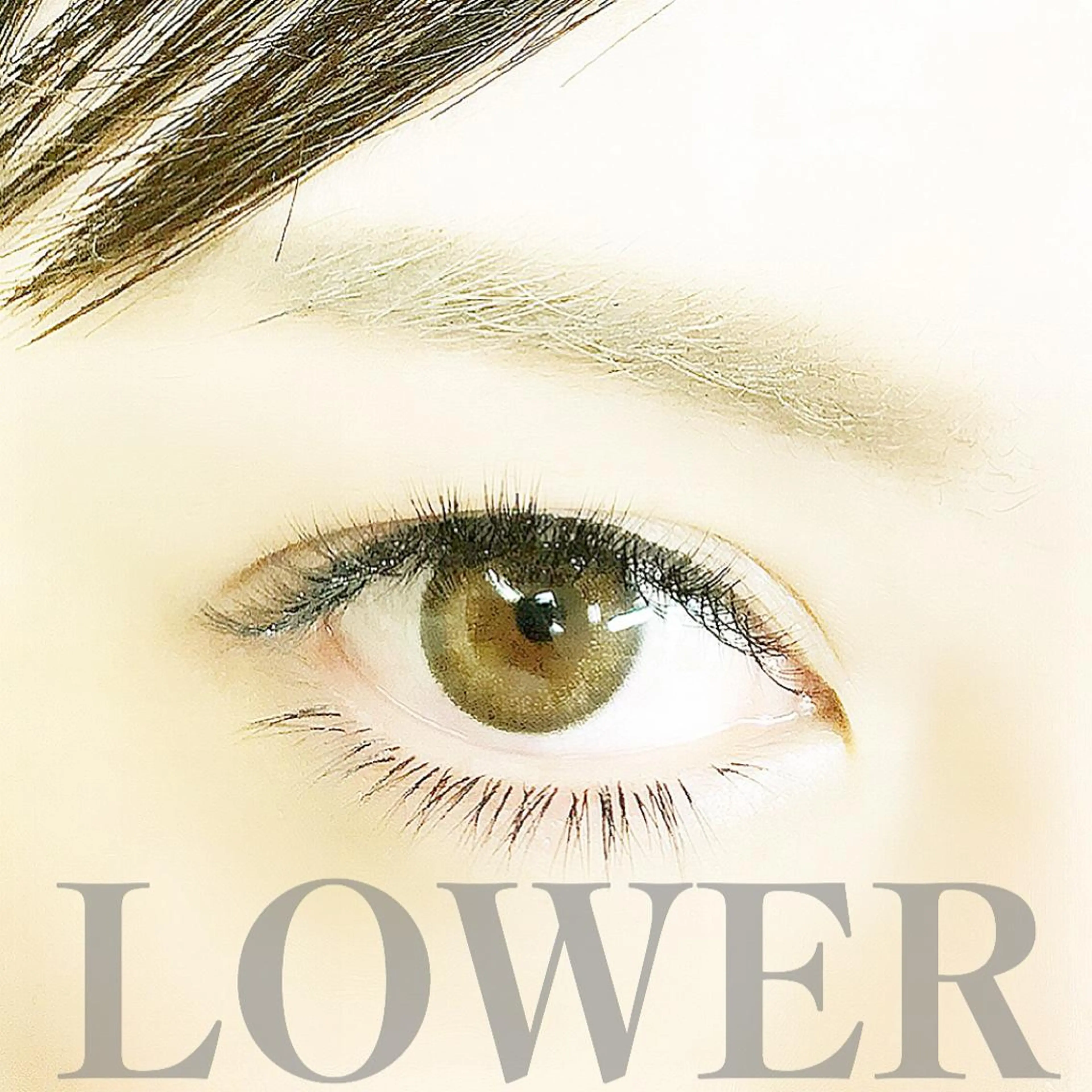 マツエク・マツパ eyelash- r🌹の眉毛・アイブロウイメージ