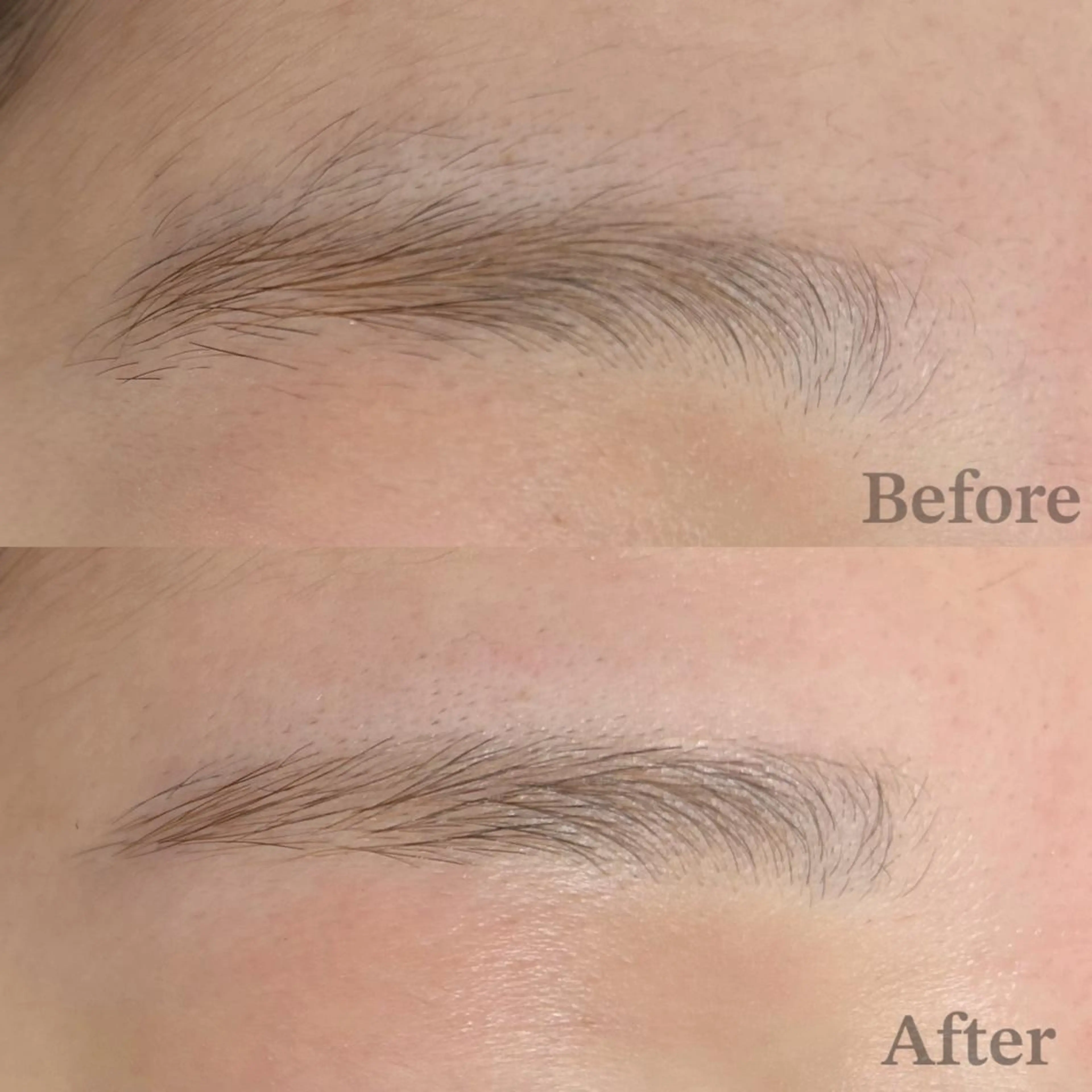 アイブロウ ワックス脱毛 GALN 🎀 yumi パリエクのマツエク・マツパデザイン