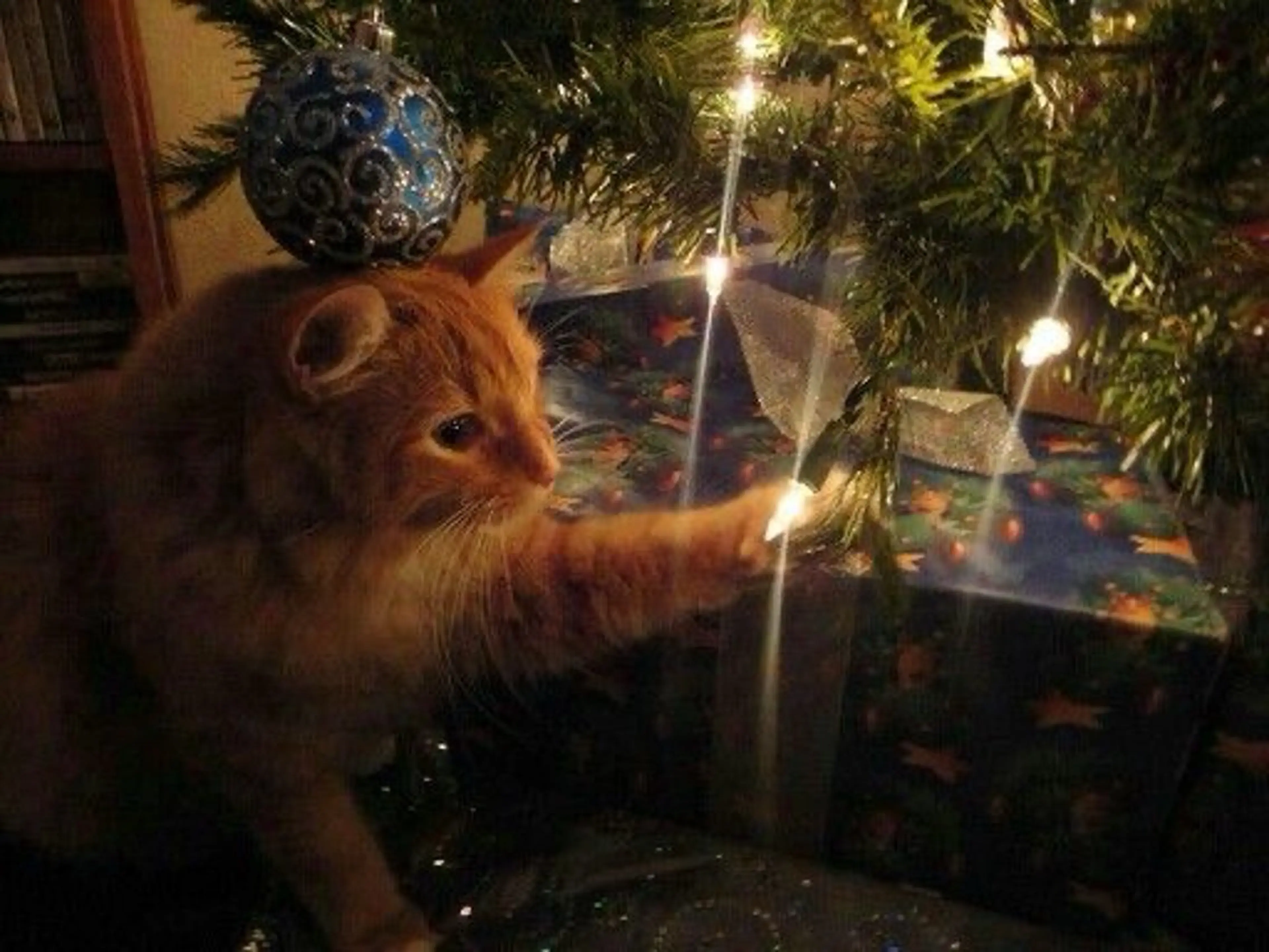 マツエク・マツパ 🎀eyelist. mizuki🐈‍⬛の眉毛・アイブロウイメージ