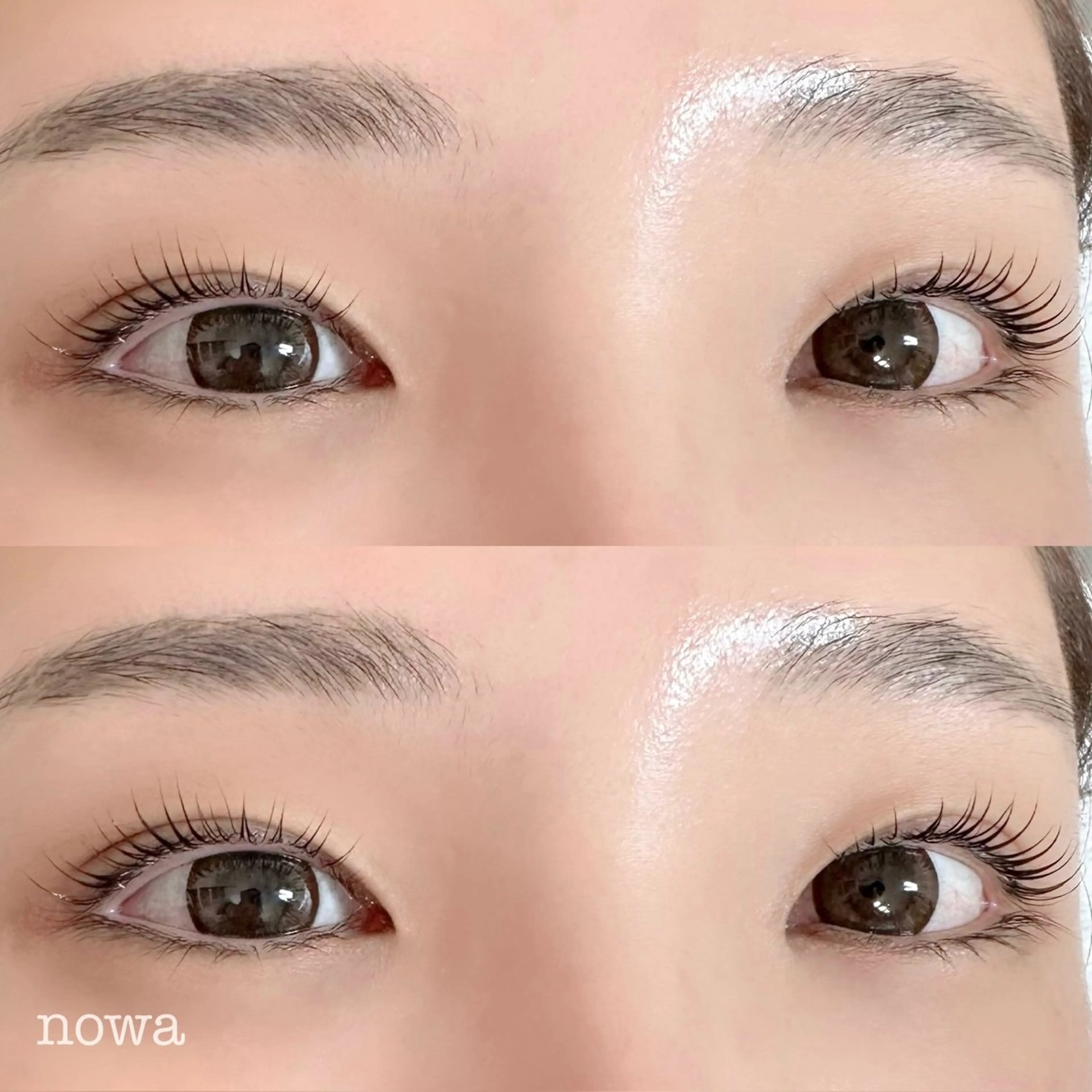 マツエク・マツパ マツパ 《nowa》 mai まつげ/眉毛の眉毛・アイブロウイメージ