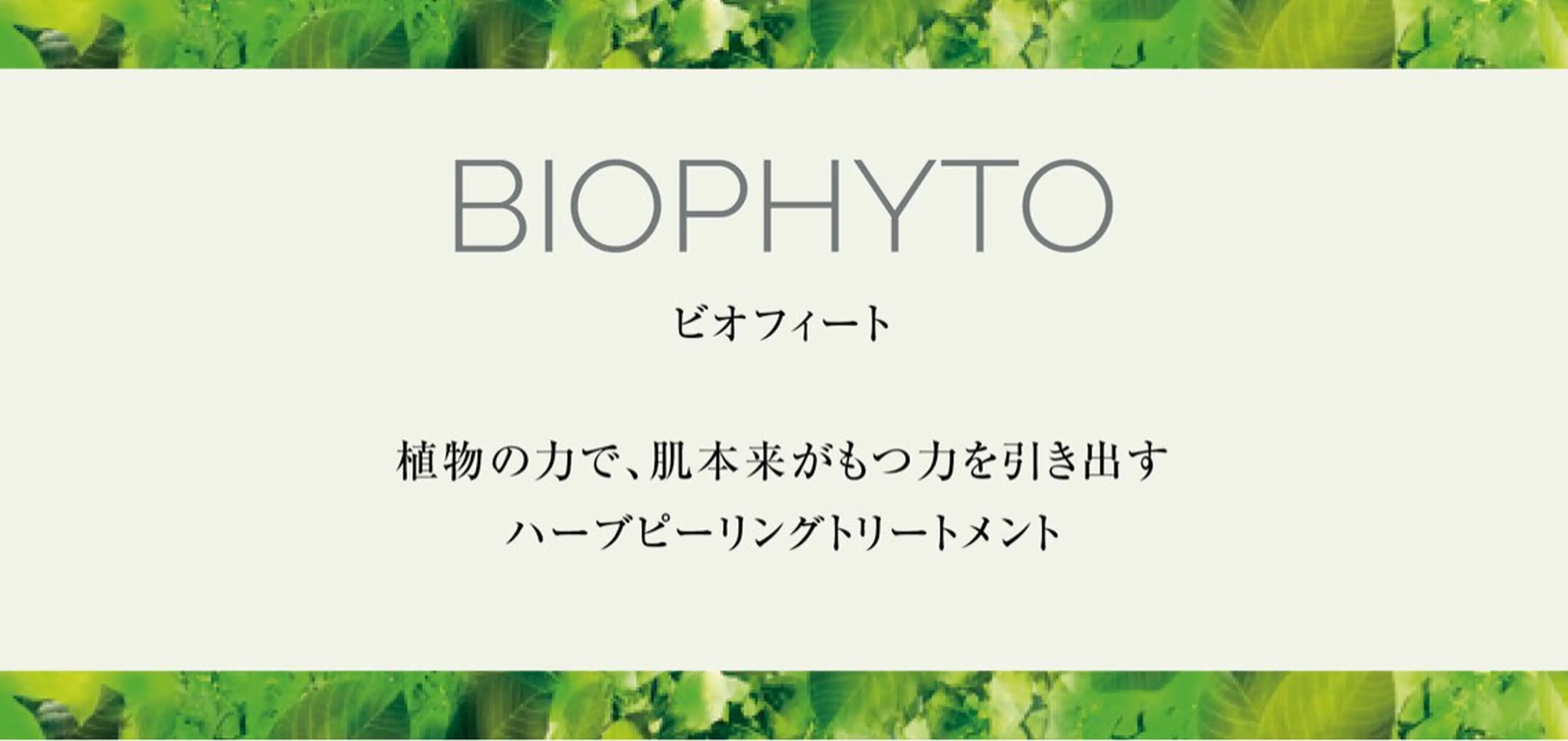 【OPEN記念価格】【毛穴・くすみケア】クリスティーナ ビオフィート（顔​〜​首）の写真