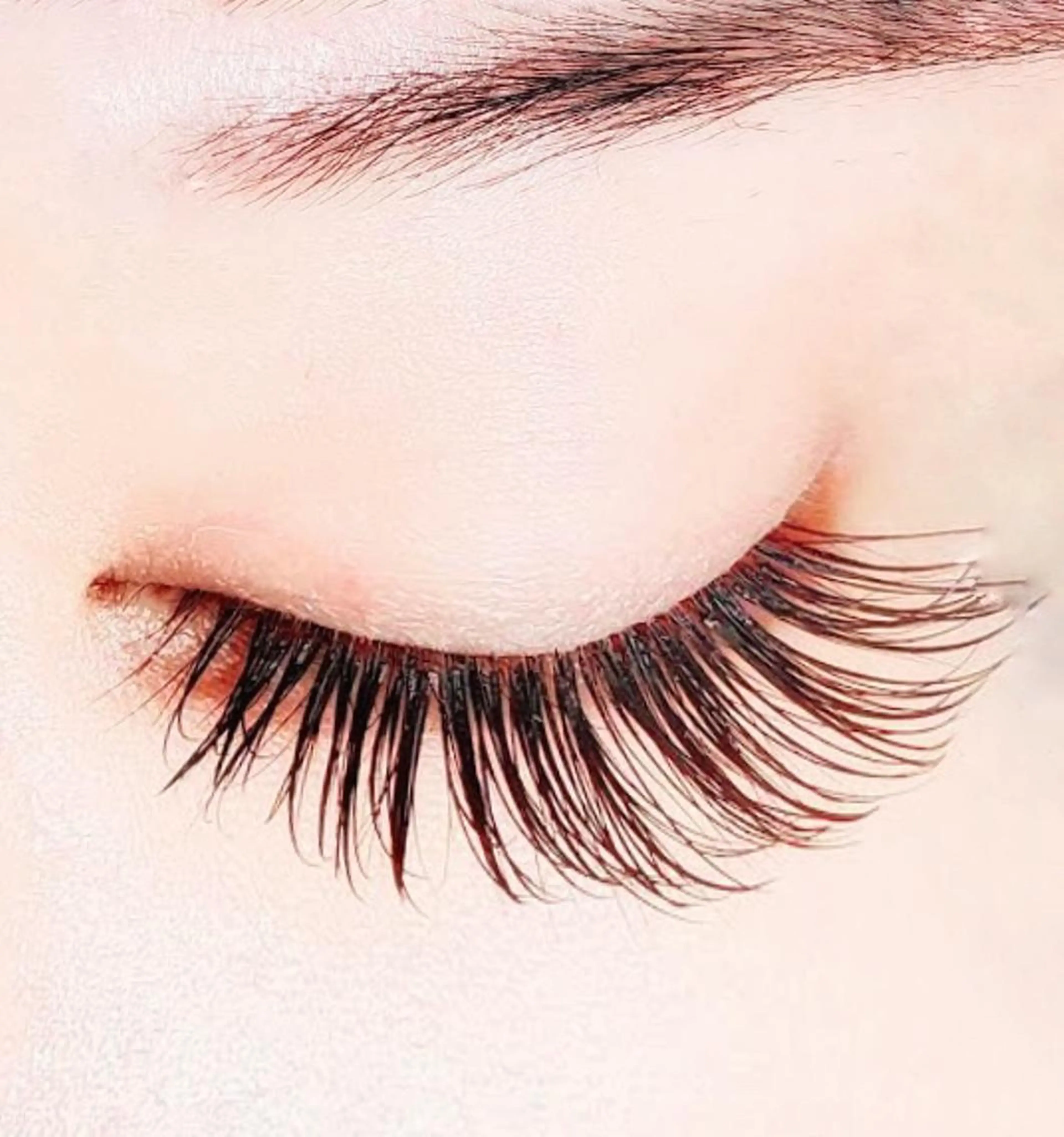 ✨ 140本セーブルエクステ ¥4,500【数量限定】の写真