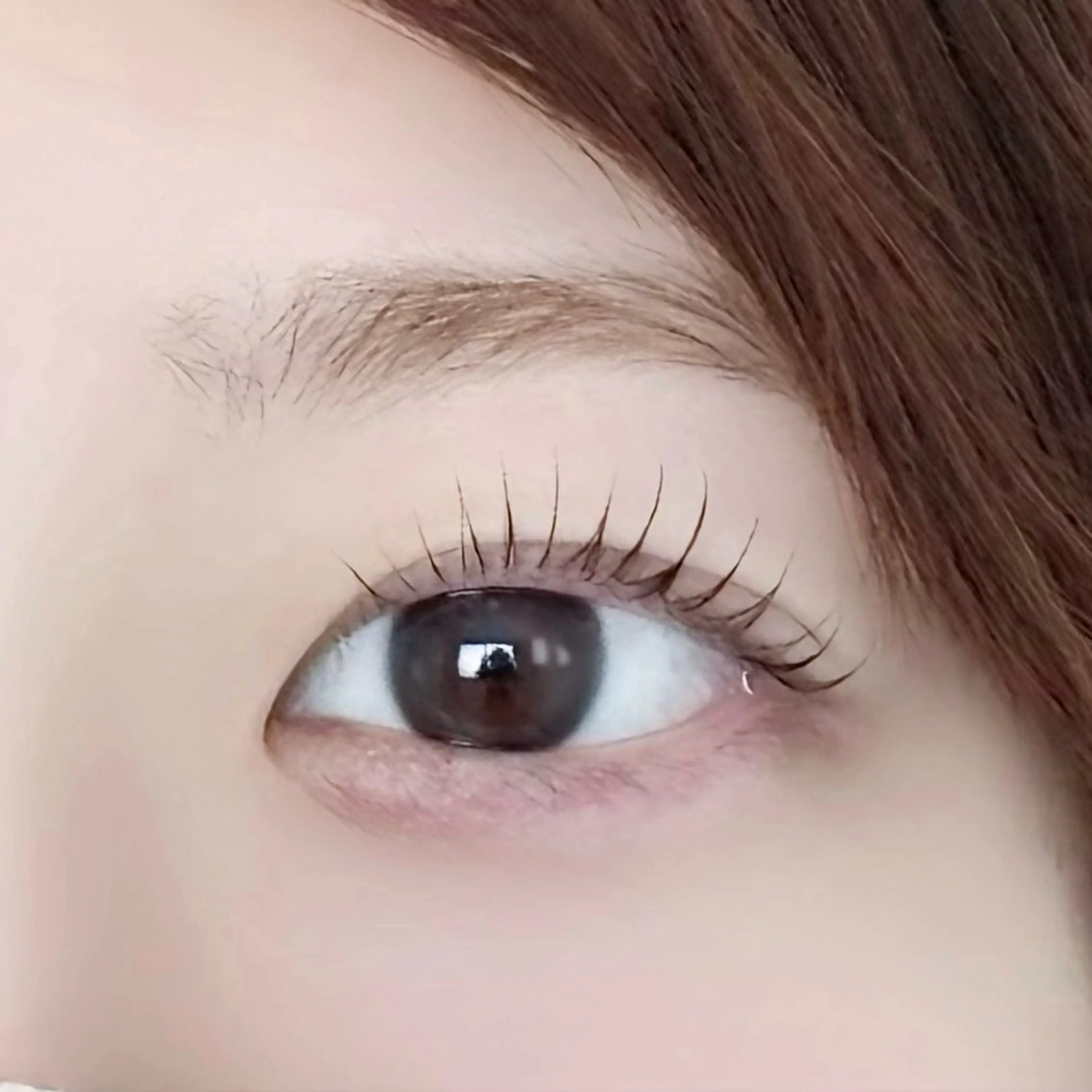 【再来】ラッシュリフト/まつ毛パーマ 🎀の写真