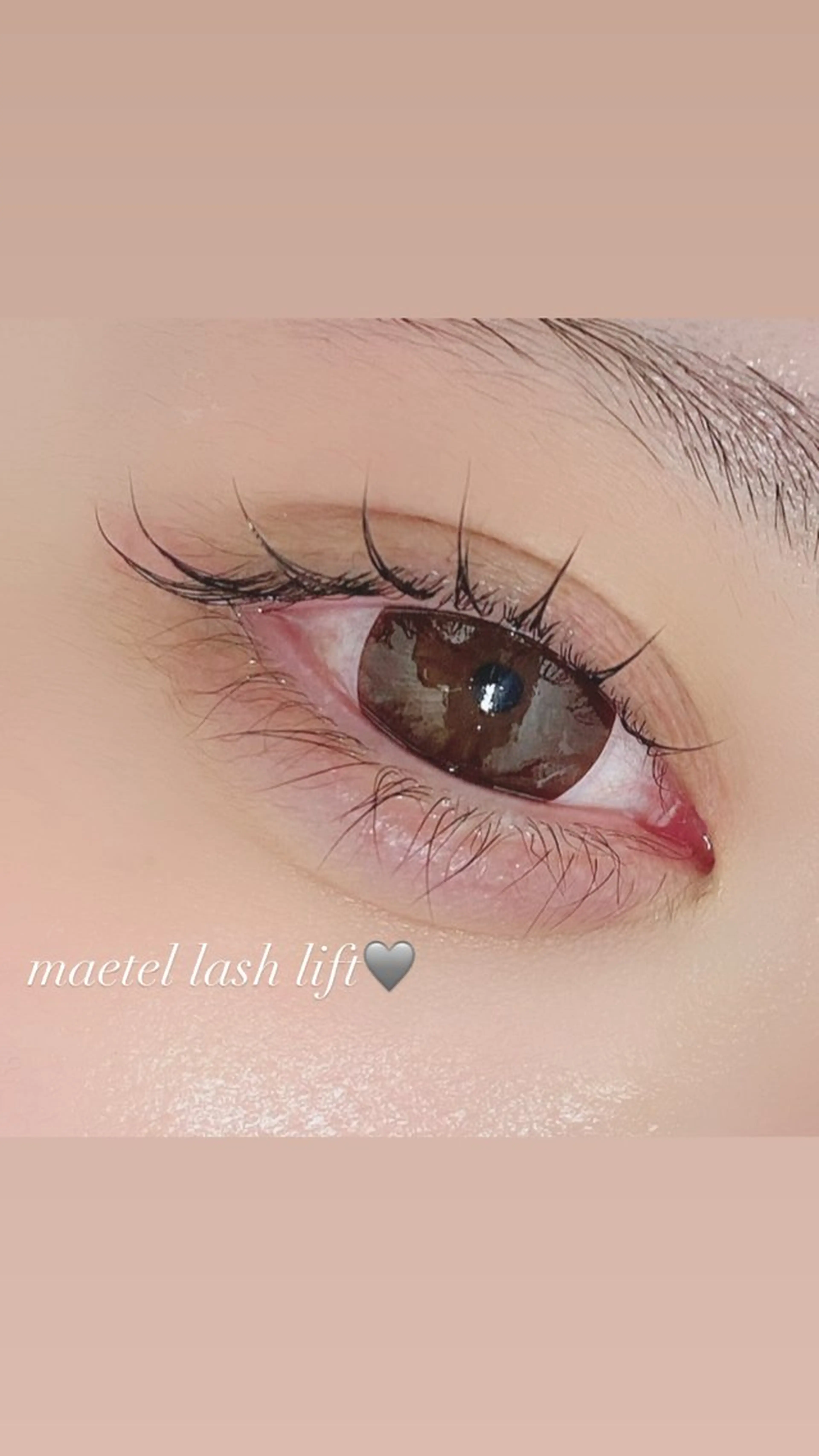 🏷メーテルラッシュリフトの写真