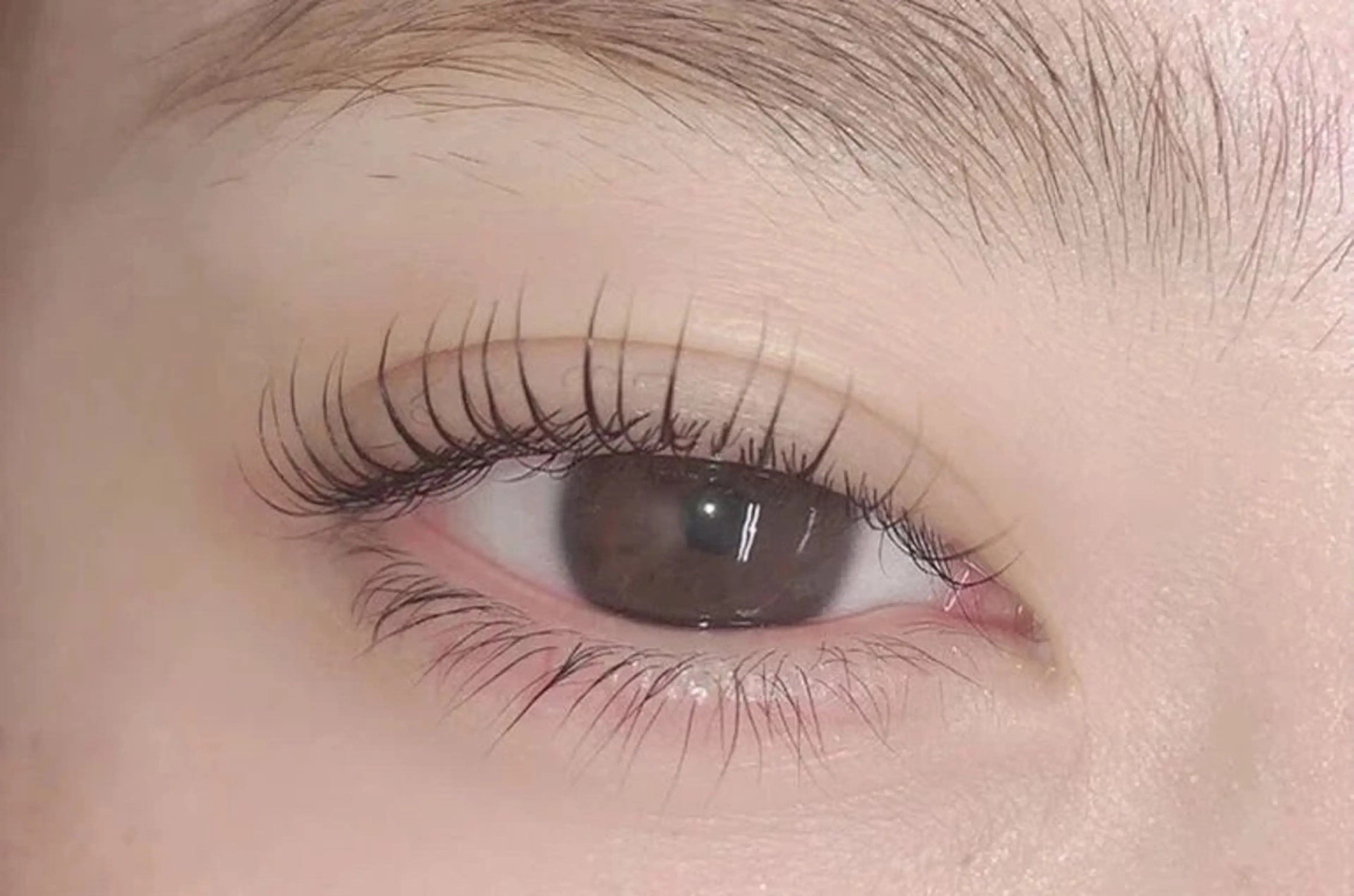 新規🌟まつ毛パーマ🌟ラッシュリフトの写真