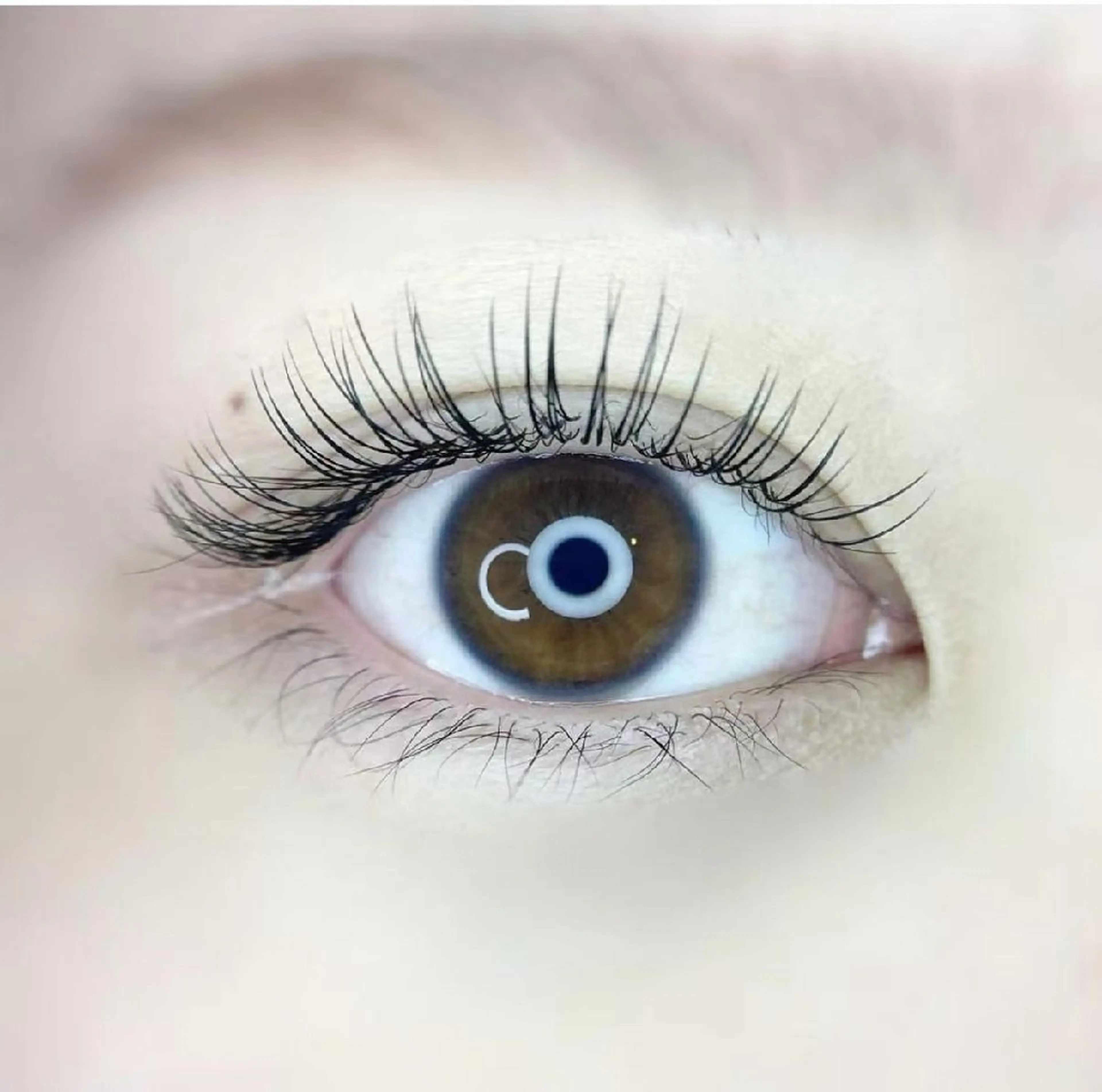 【モデル価格】LEDフラットラッシュ120 本+下まつげ30本の写真