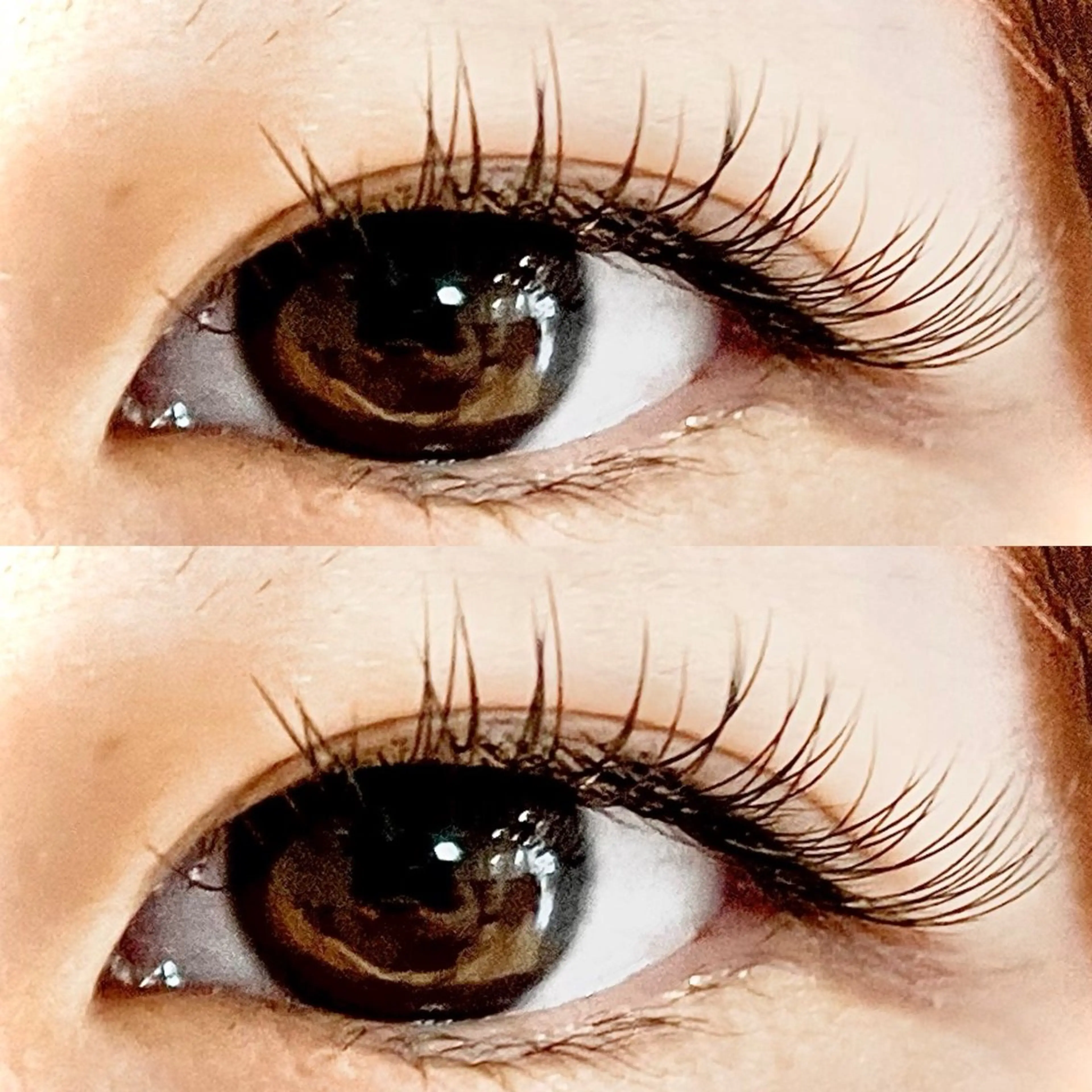 open記念☆初めましてのデザインまつ毛エクステ☆トリートメントコーティング付きの写真