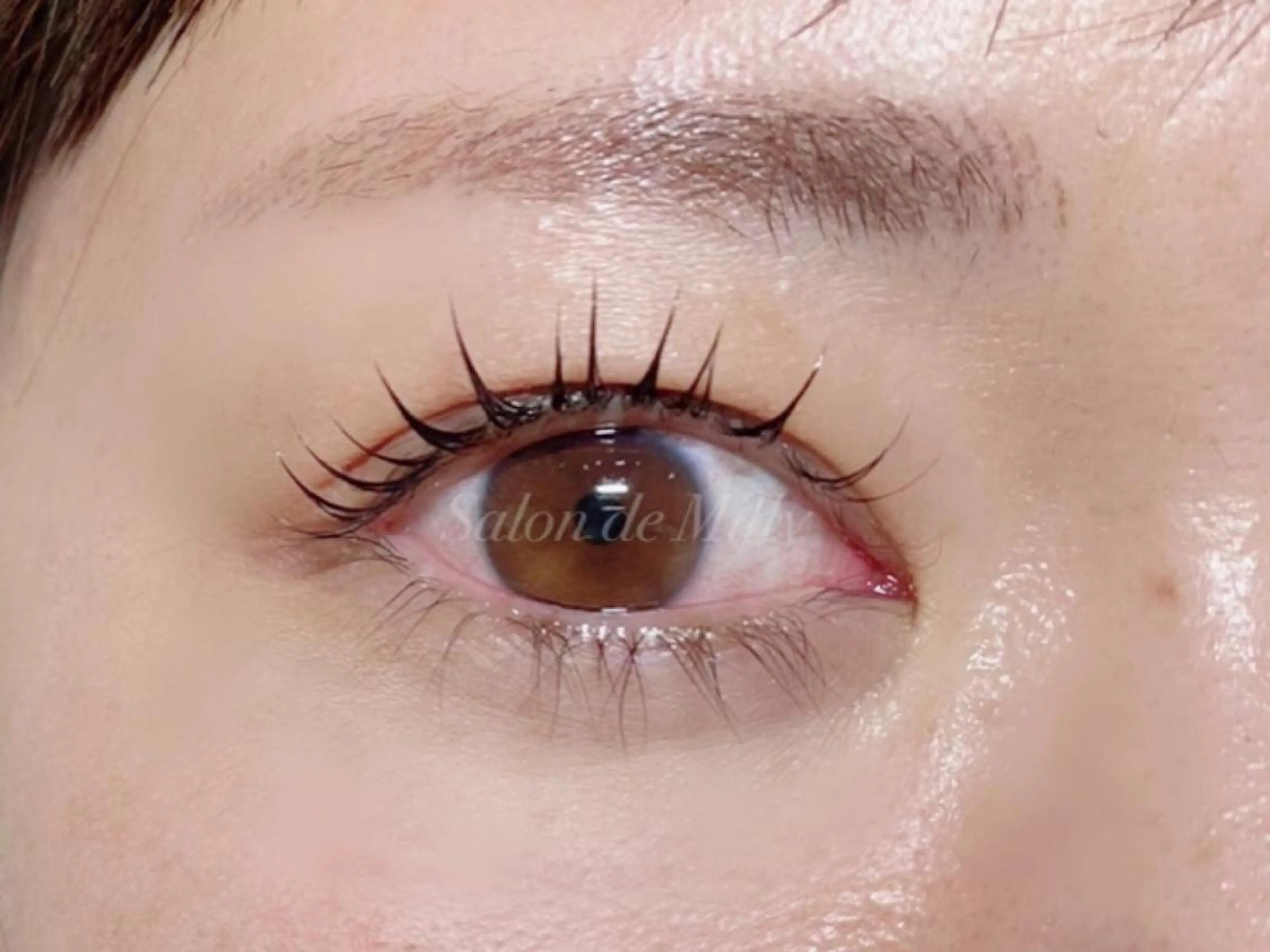 マツエク・マツパ Salon de milly 本町のマツエク・マツパデザイン