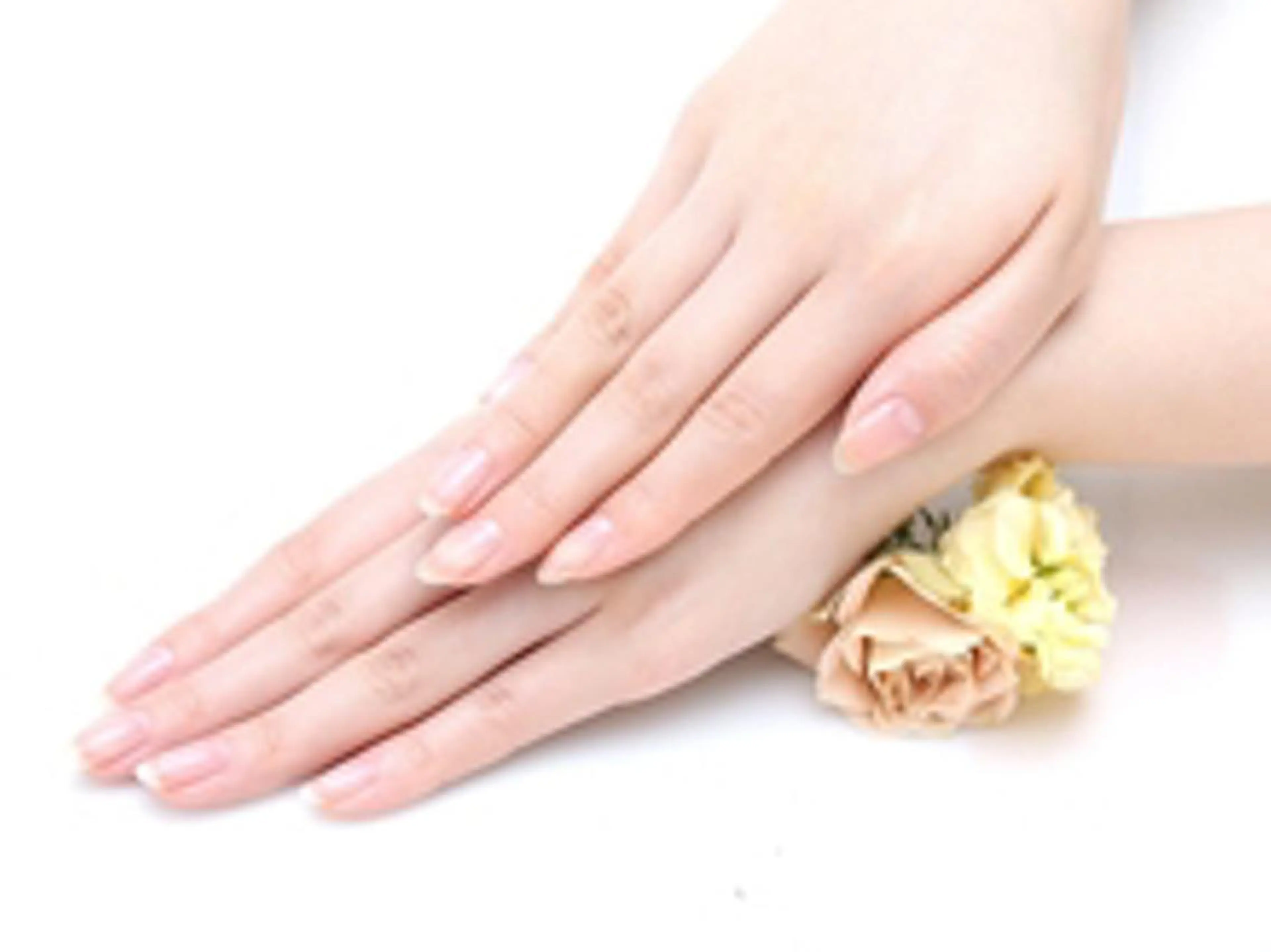 【オフなし限定】ハンドケアの写真