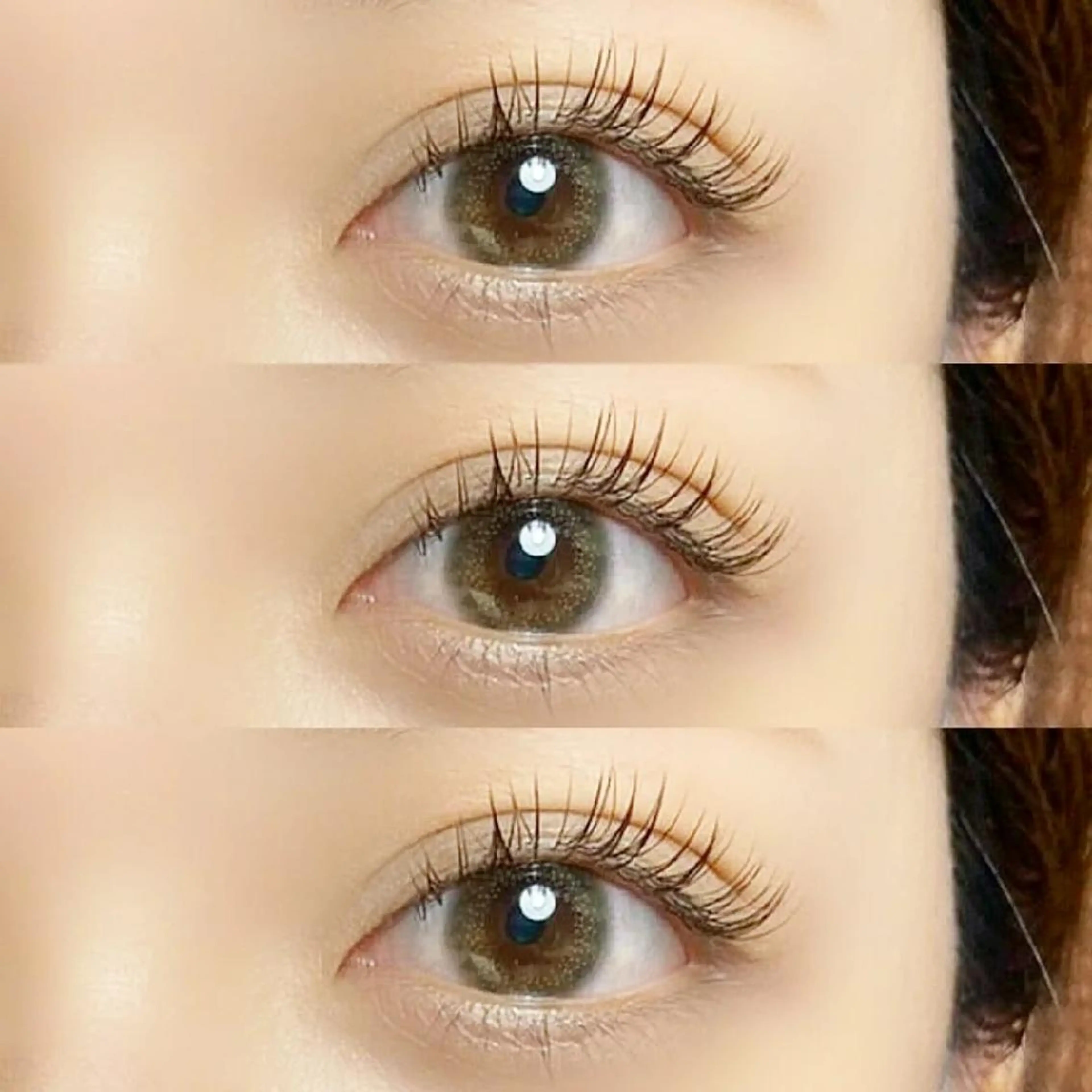 フラットラッシュ140本(オフ･アイパック･アイシャンプー付)の写真