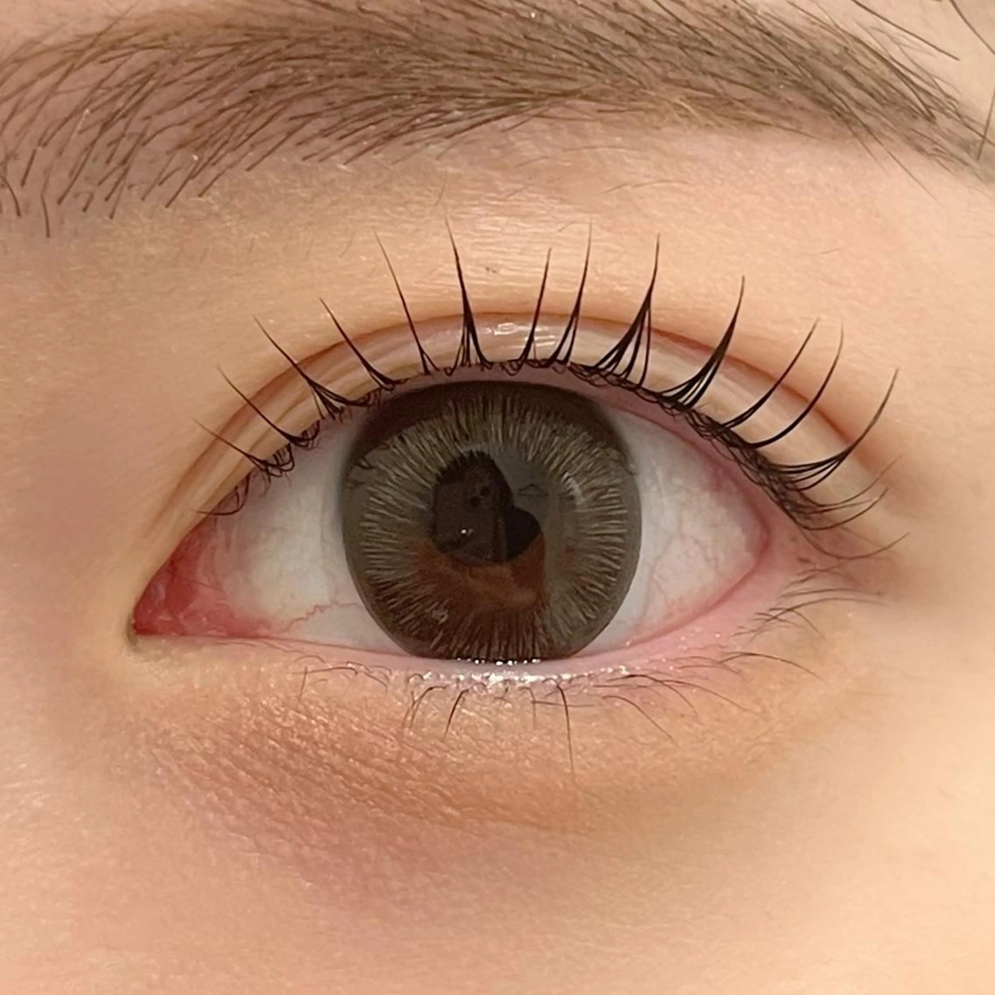 マツエク・マツパ まつげパーマ ai一重専門🎀束感 まつげ🫧表参道のマツエク・マツパデザイン