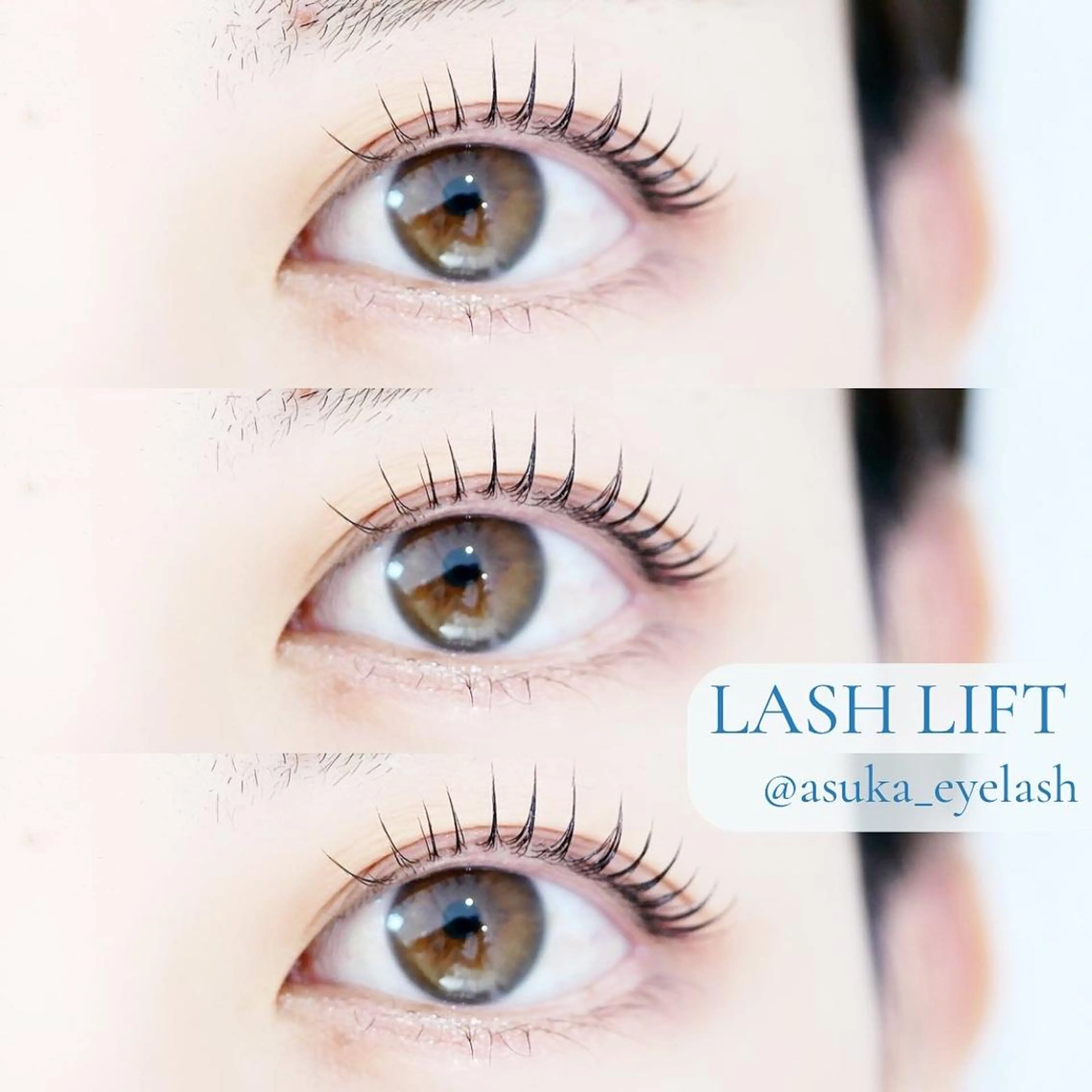 マツエク・マツパ asuka 𖥸 アイブロウ🦊🤎の眉毛・アイブロウイメージ