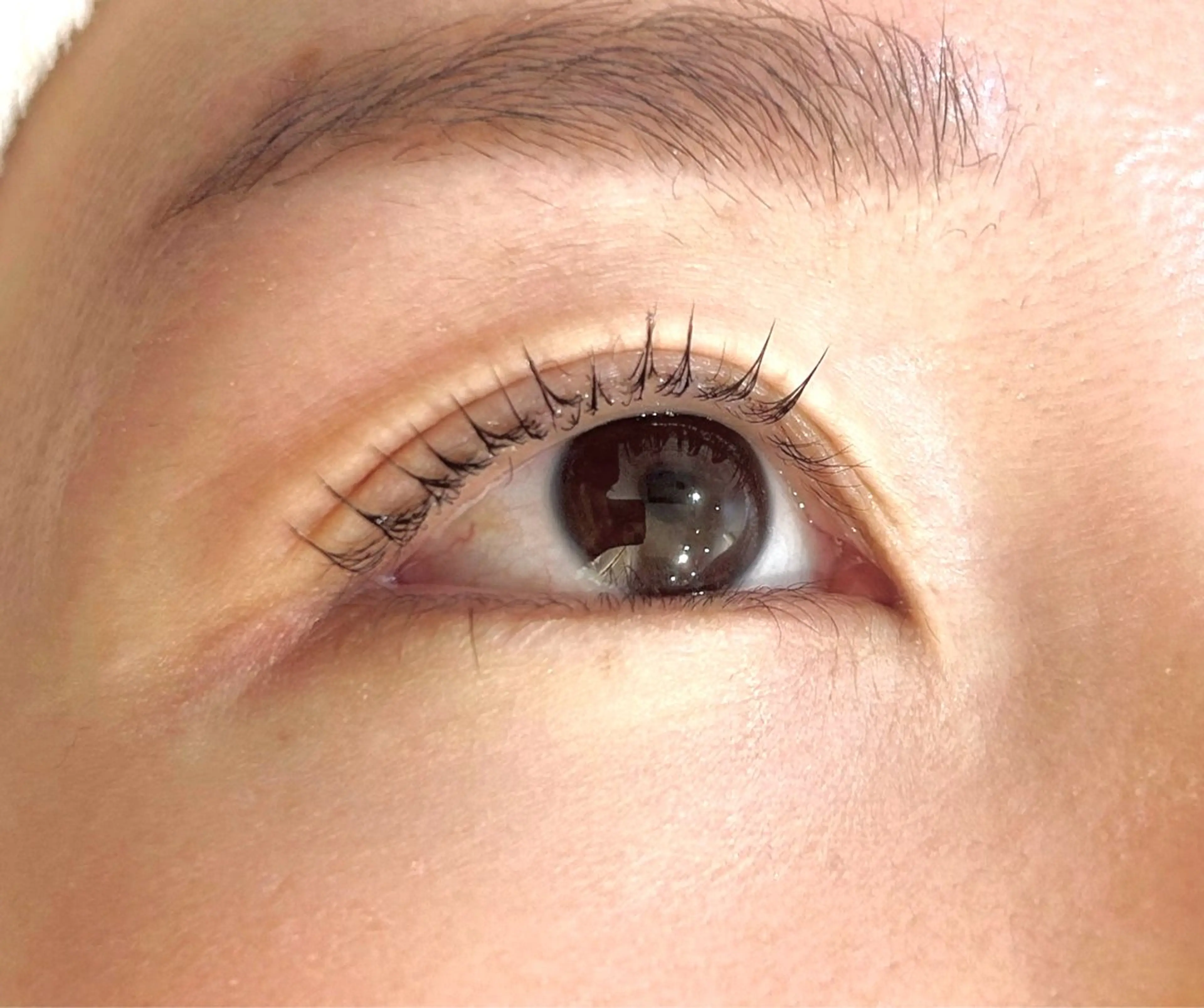 マツエク・マツパ マツパ 石井 侑多のマツエク・マツパデザイン