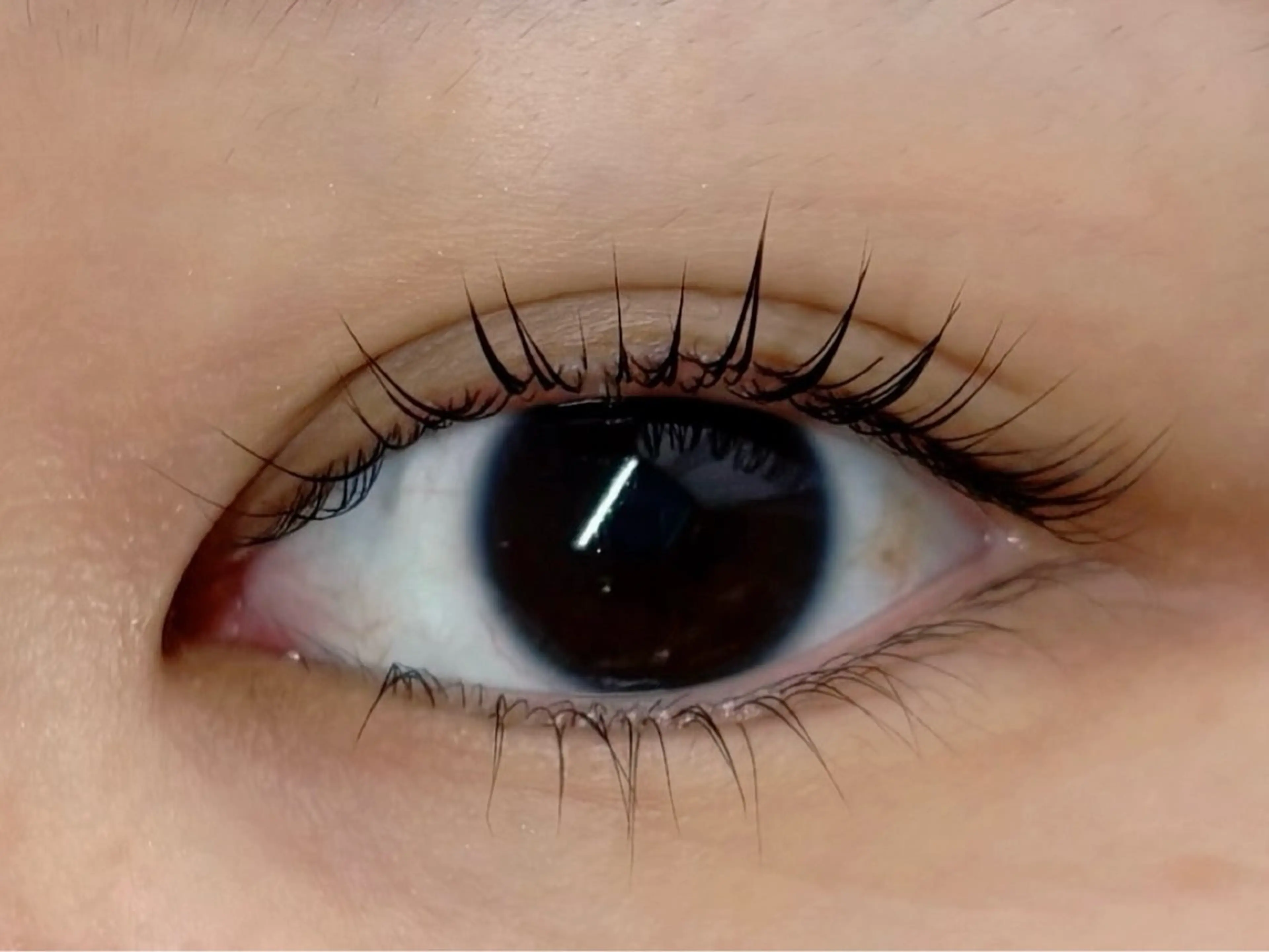 マツエク・マツパ パリジェンヌラッシュリフト シャルム　柏店 ayakaのマツエク・マツパデザイン