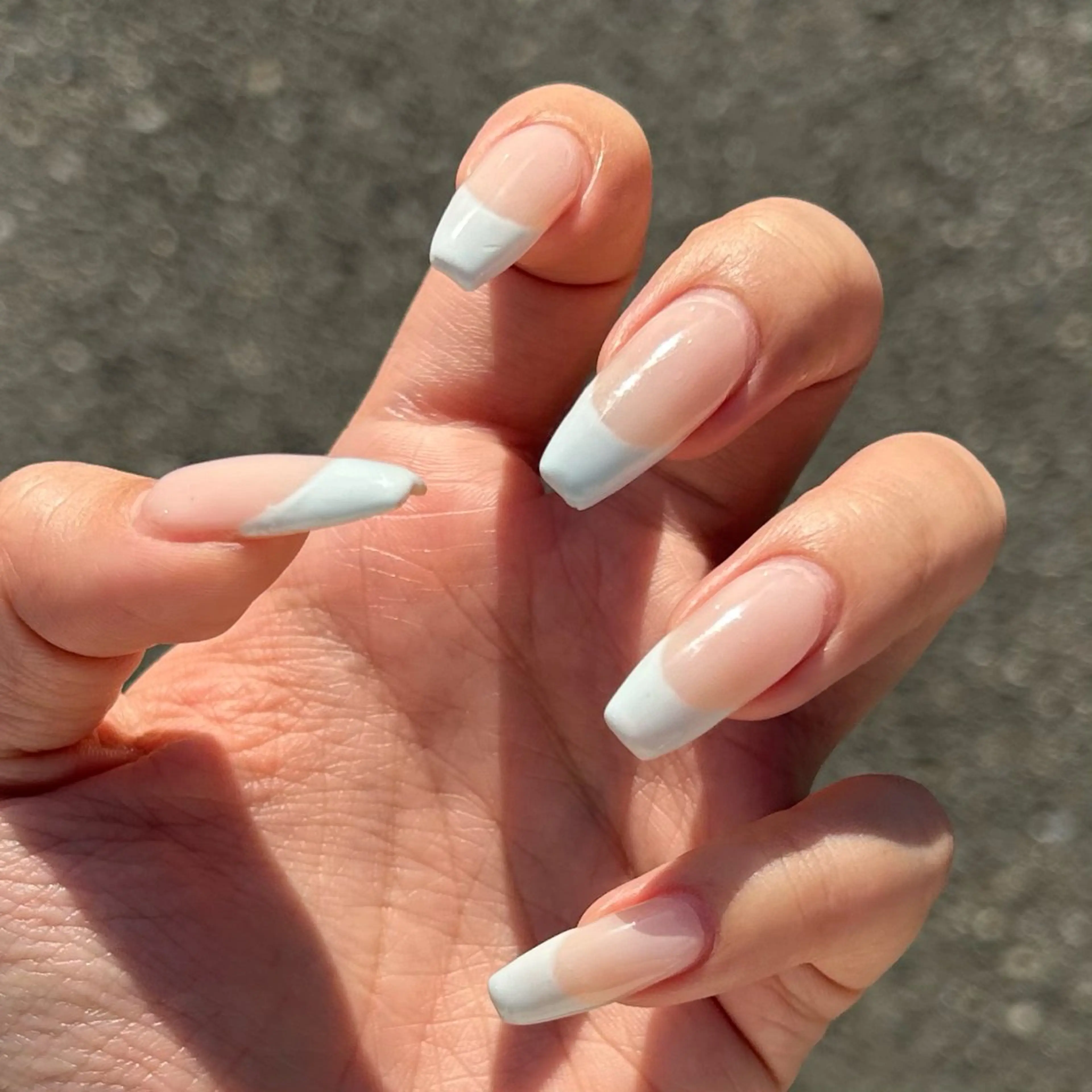 【オフなし】シンプルフレンチネイルの写真