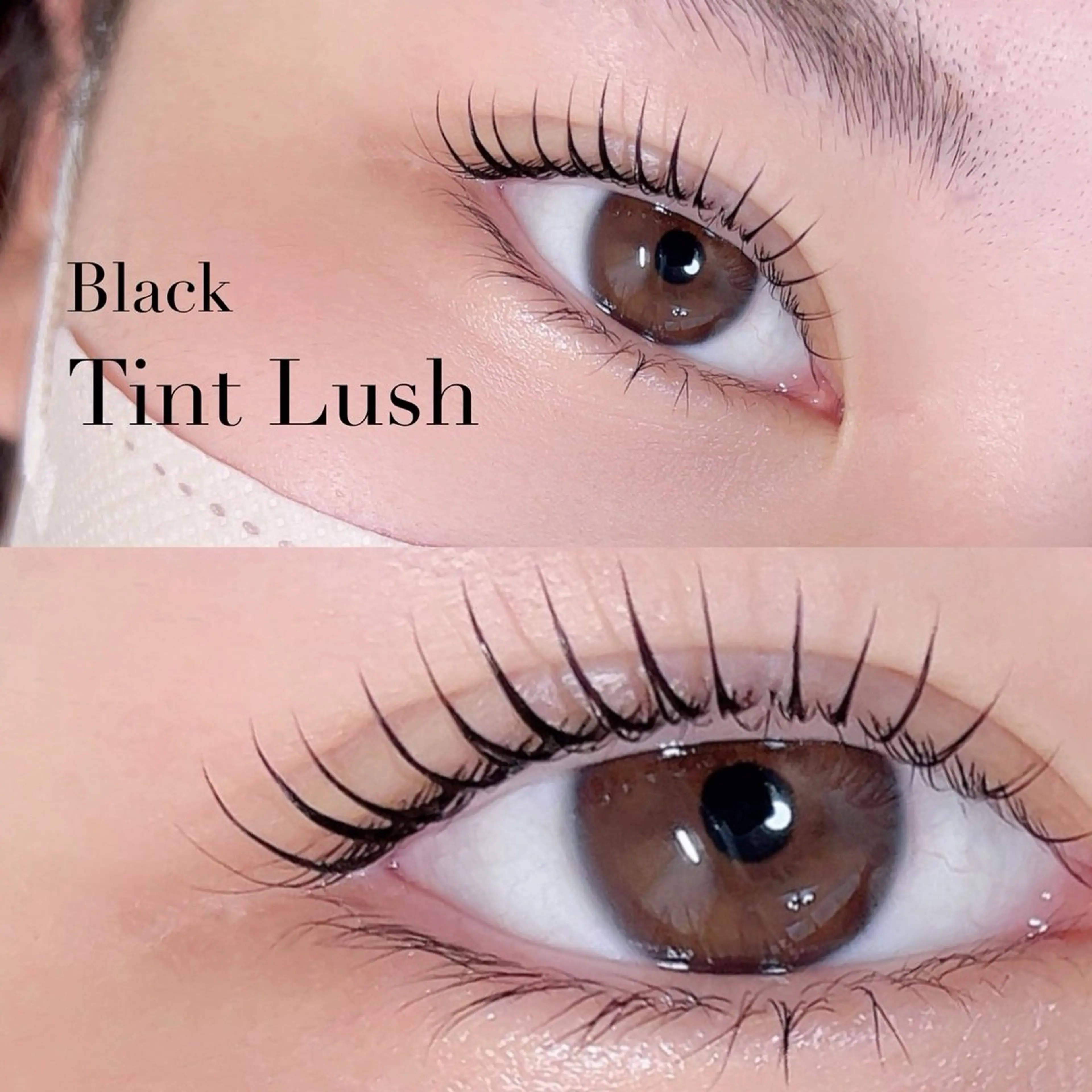 マツエク・マツパ Eyebii 森のマツエク・マツパデザイン