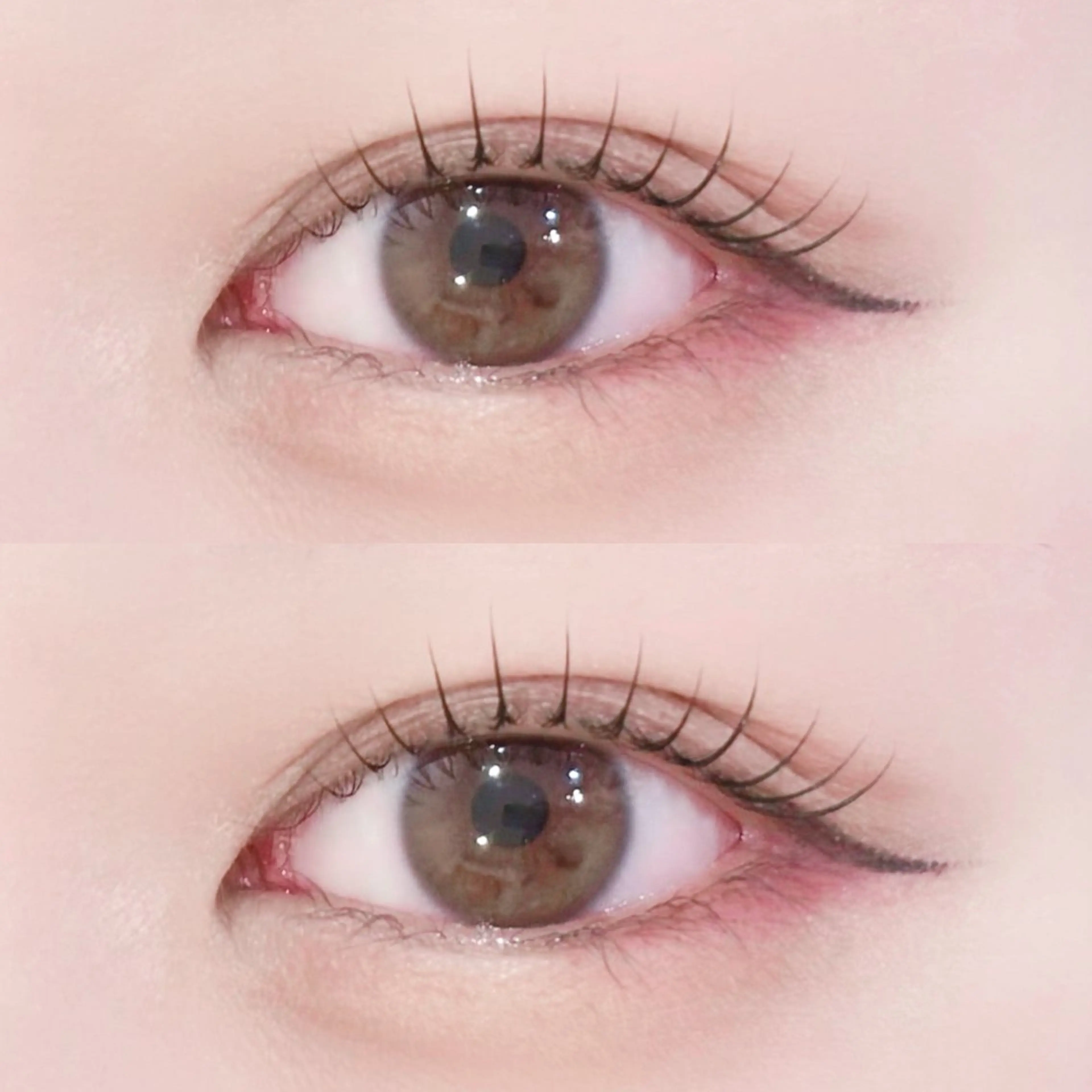 4月限定✨上下まつ毛パーマ🐶🫧の写真