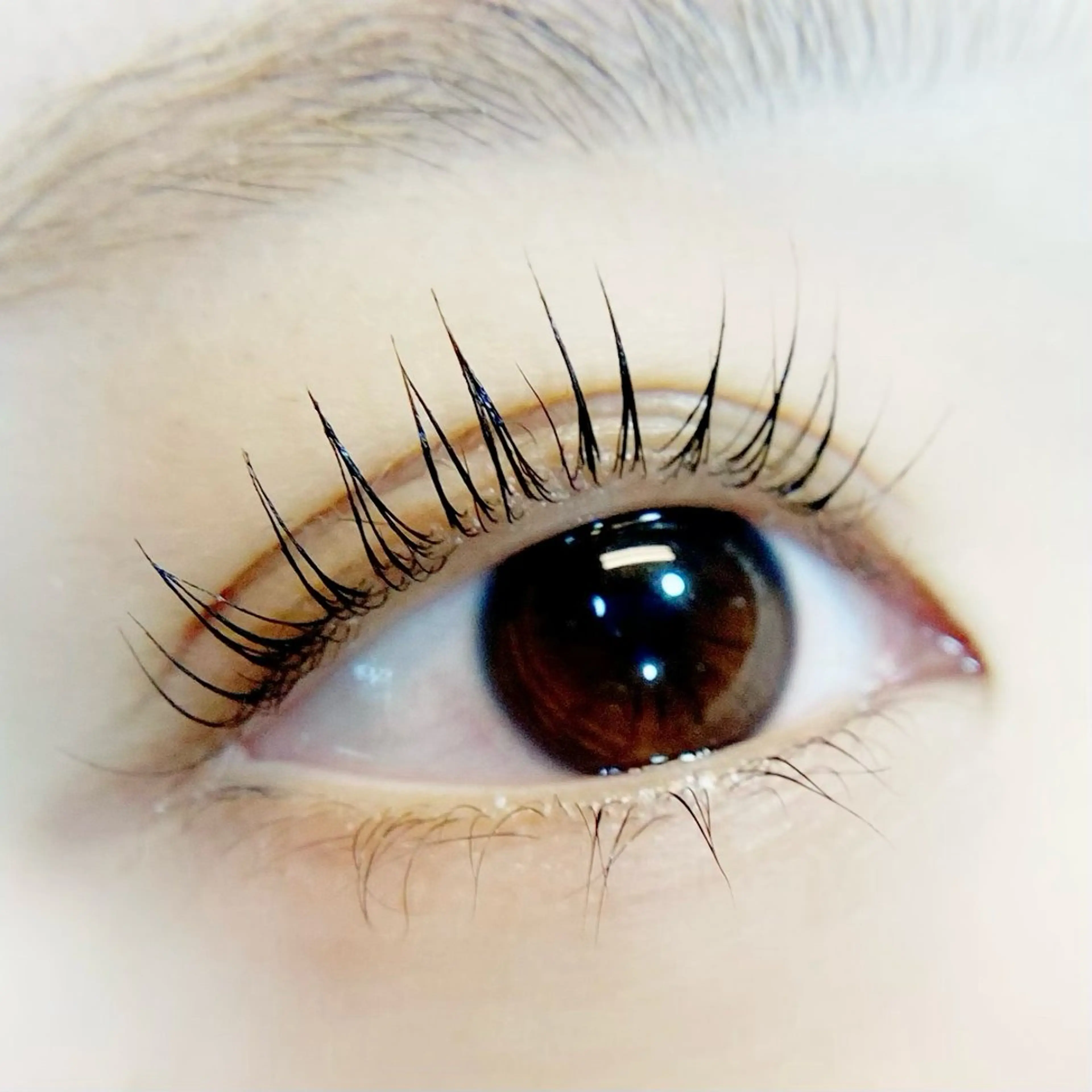 マツエク・マツパ パリジェンヌラッシュリフト 小川 浦和PARCOのマツエク・マツパデザイン