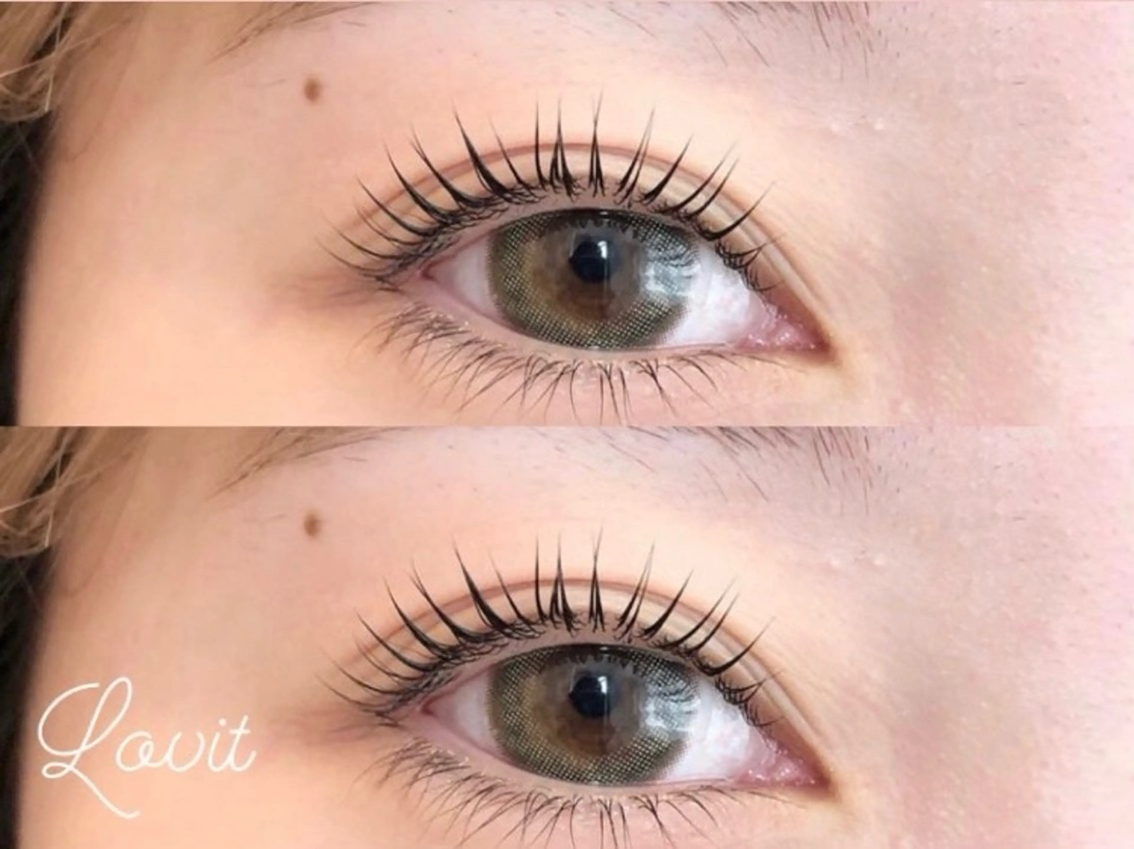 【ご新規様限定】韓国風　束感まつ毛パーマ　4980→3980円の写真