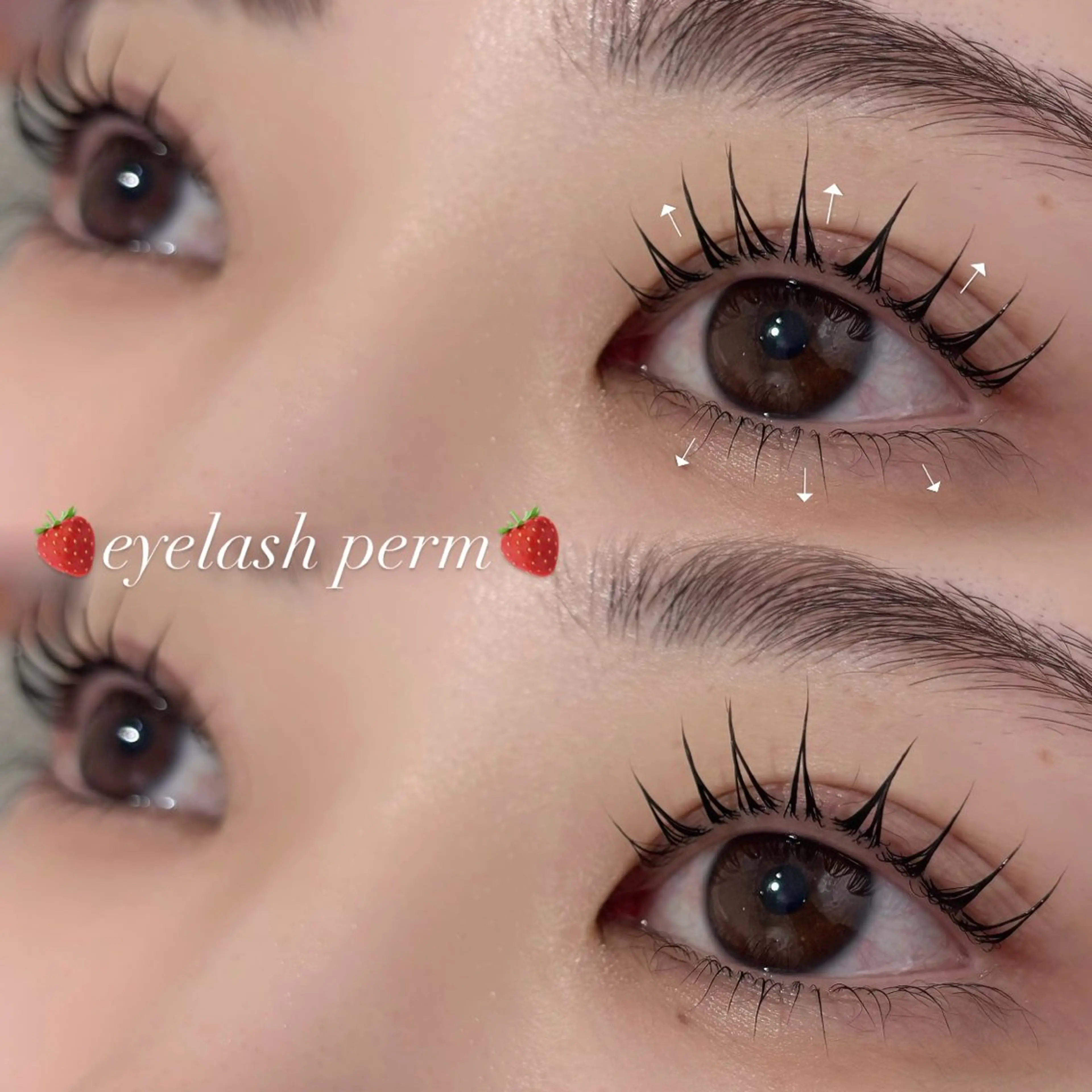 まつげパーマ『上下』🌟トリートメント仕上げ🌟逆さまつげでお悩みの方！ナチュラル派・マスカラ派の方♡田町の写真