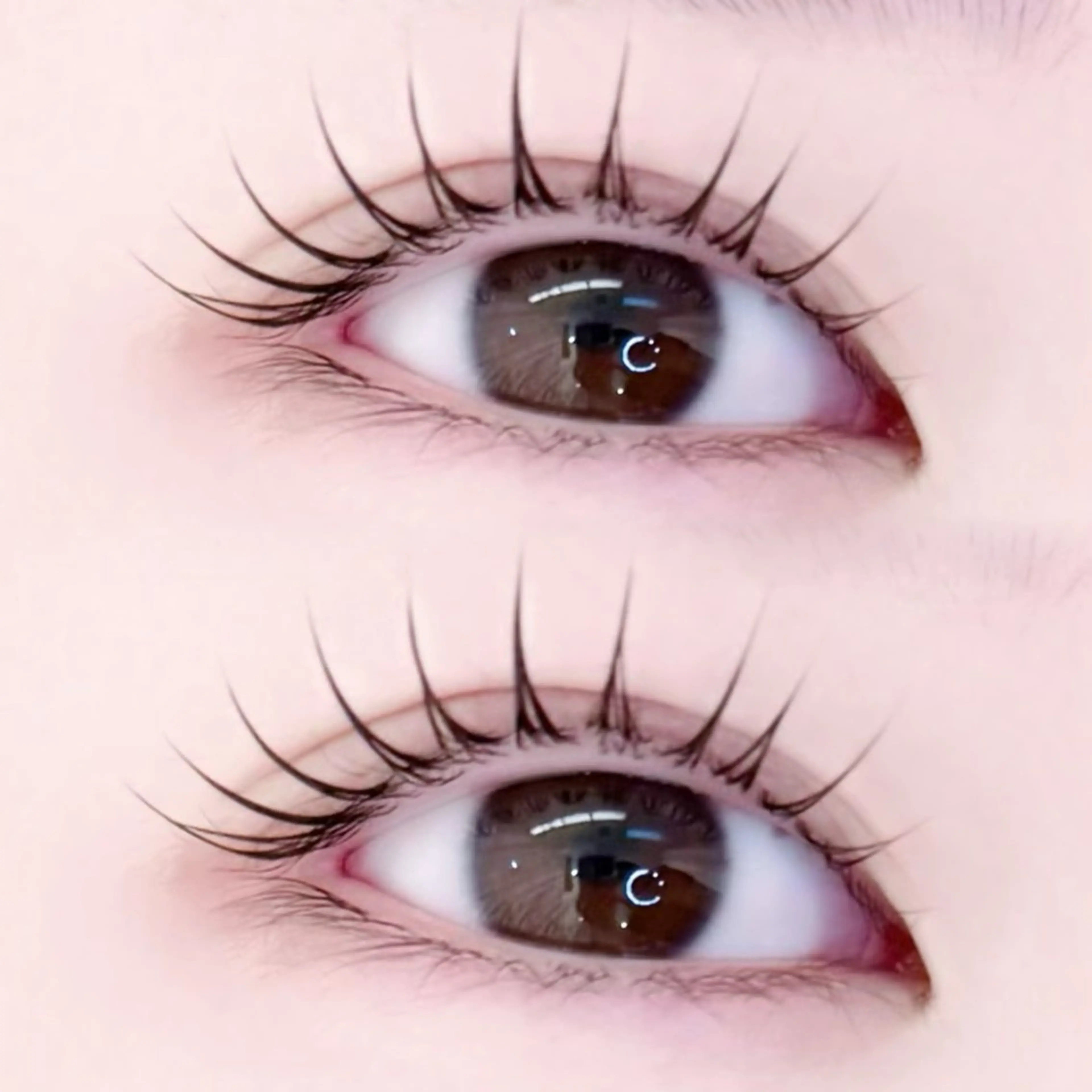 🉐13日限定🉐【ラッシュリフト 上のみ 】➕コーティング付き✨️の写真