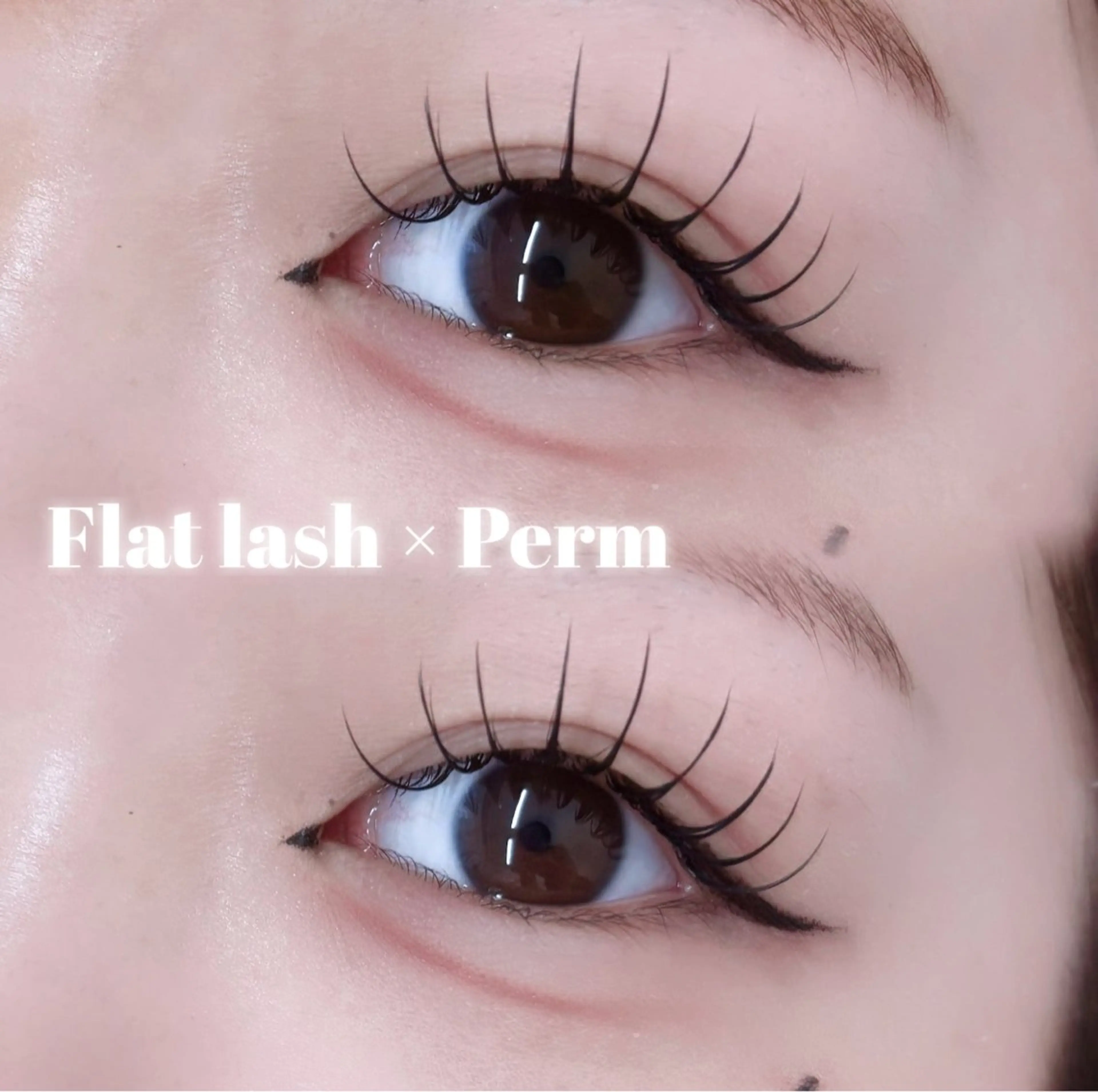 【上】エクステパーマ（LEDフラットラッシュ140本）の写真