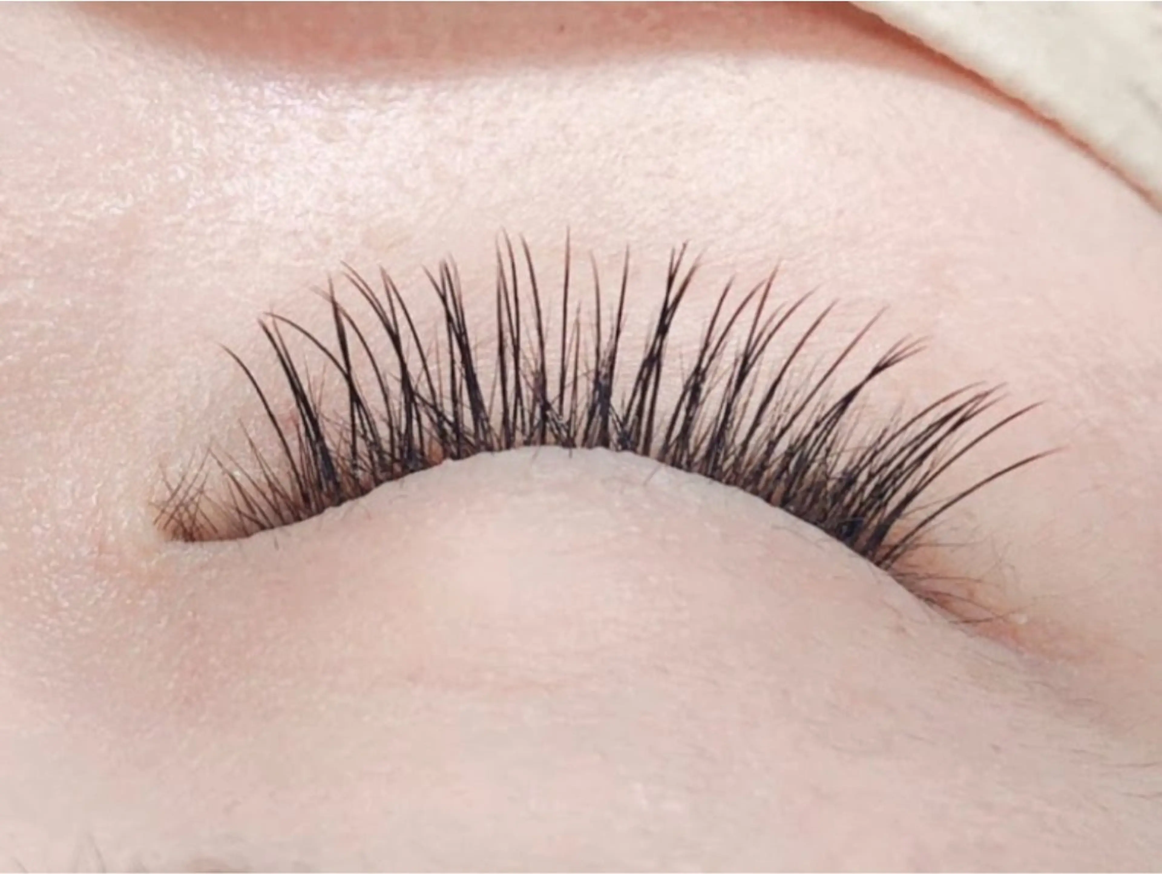 《minimo限定》フラットラッシュ80本　＊オフ無料＊の写真