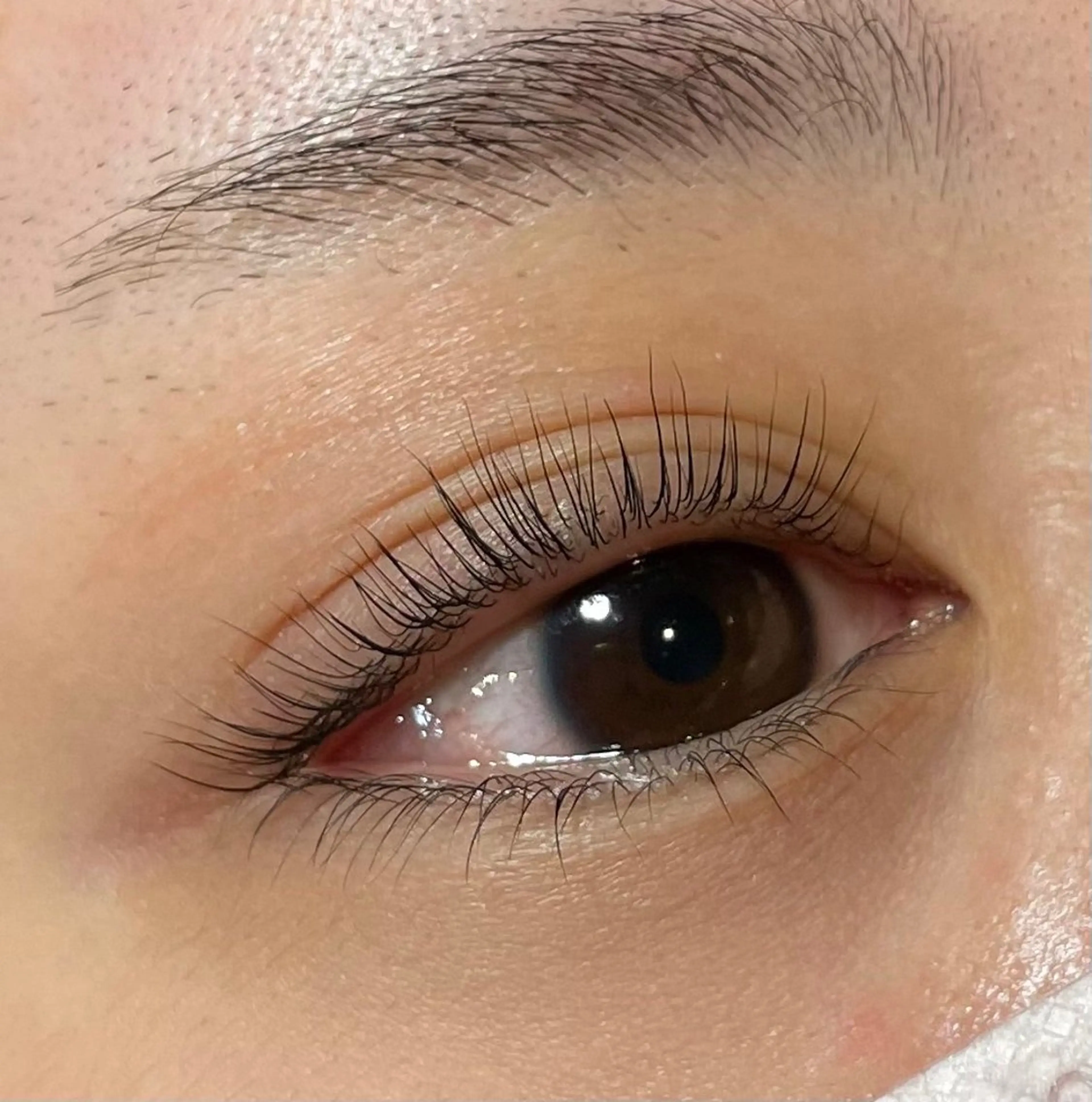 マツエク・マツパ bien 🐈‍⬛の眉毛・アイブロウイメージ